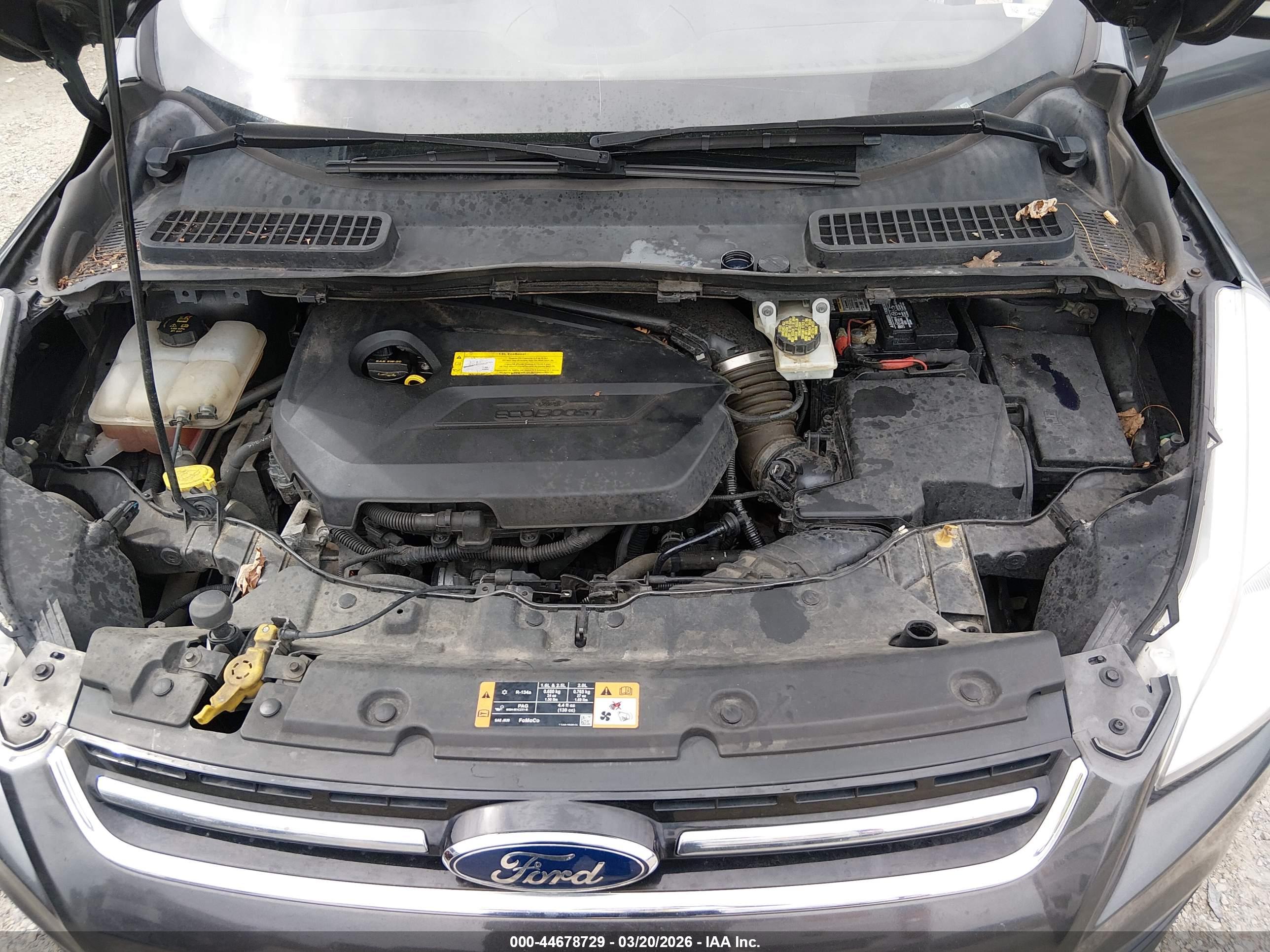 FORD ESCAPE image 10