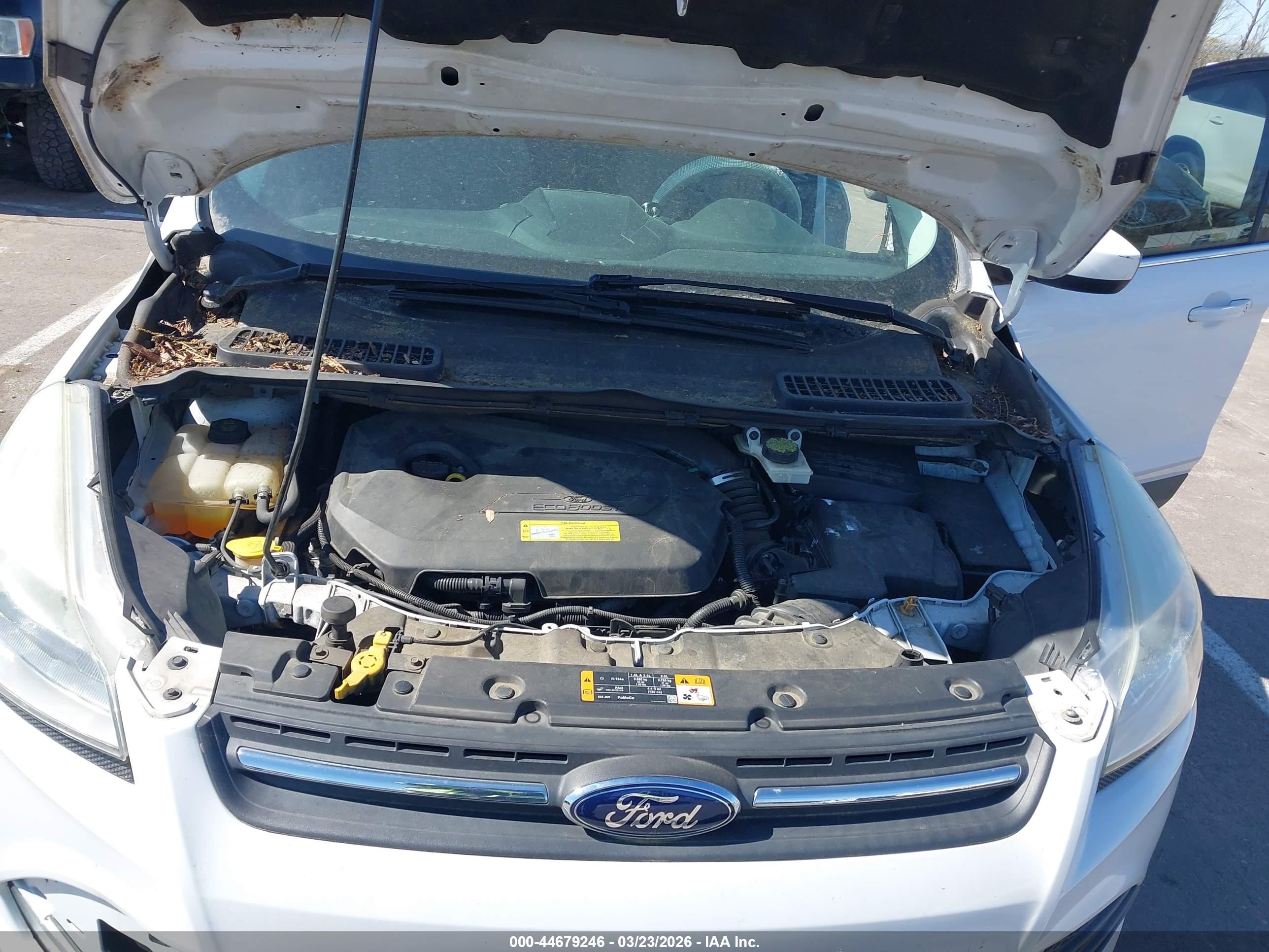 FORD ESCAPE image 10