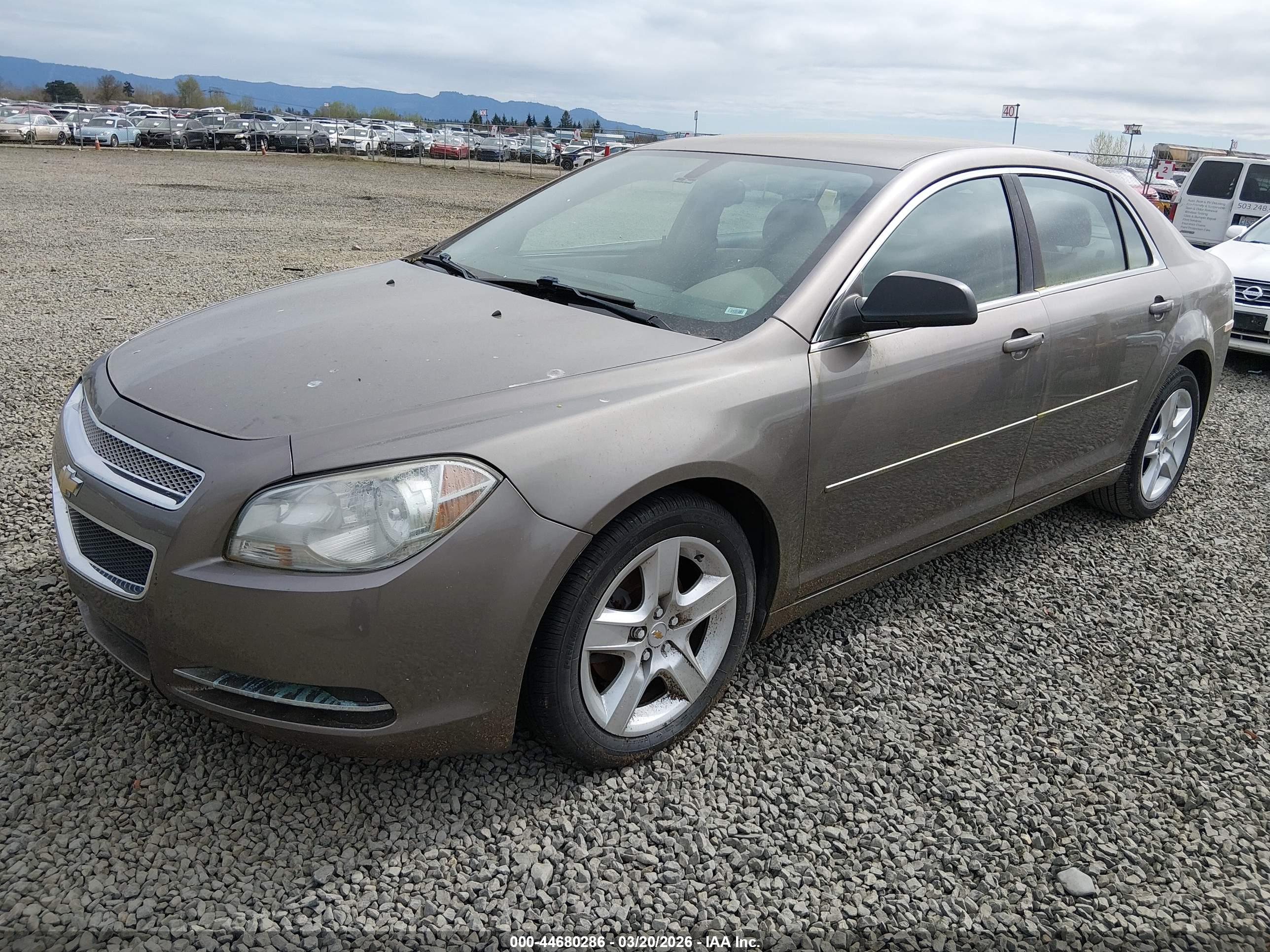 CHEVROLET MALIBU image 2
