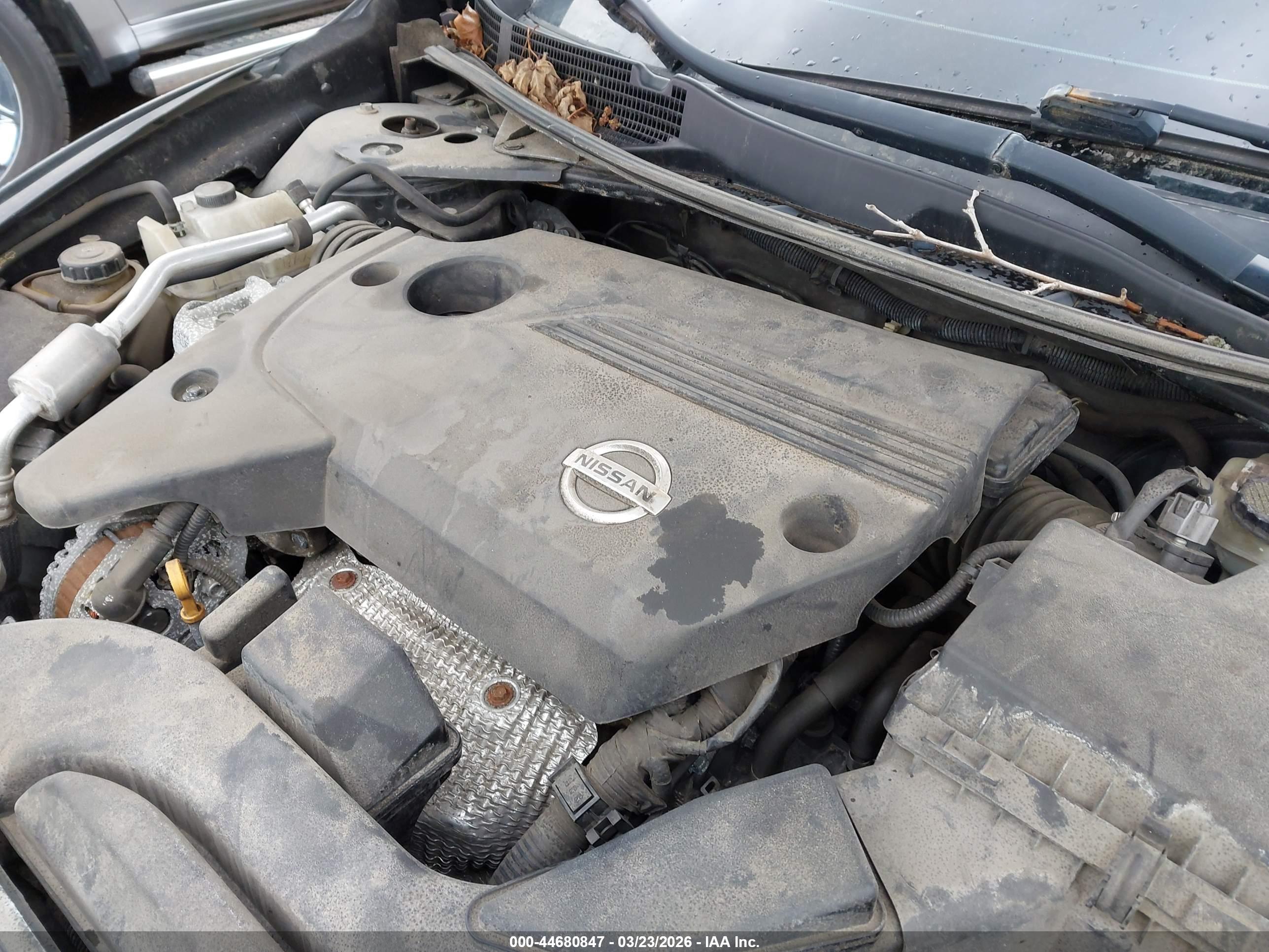 NISSAN ALTIMA image 10