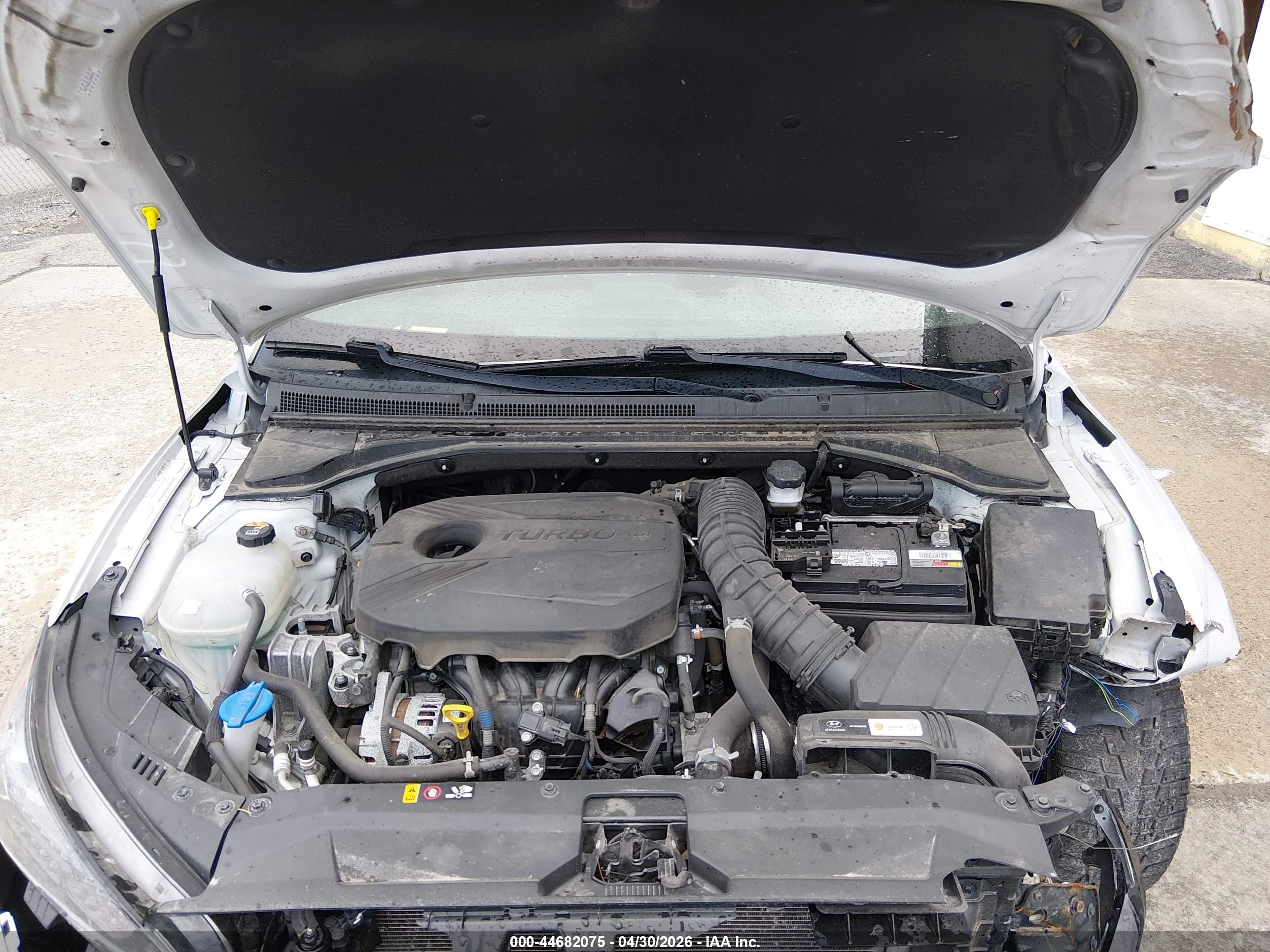 HYUNDAI VELOSTER image 10