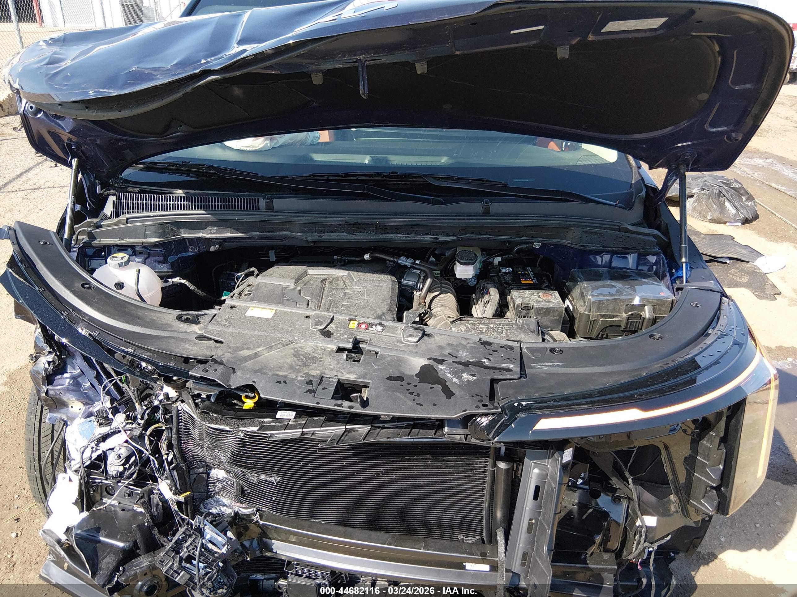 KIA CARNIVAL image 10