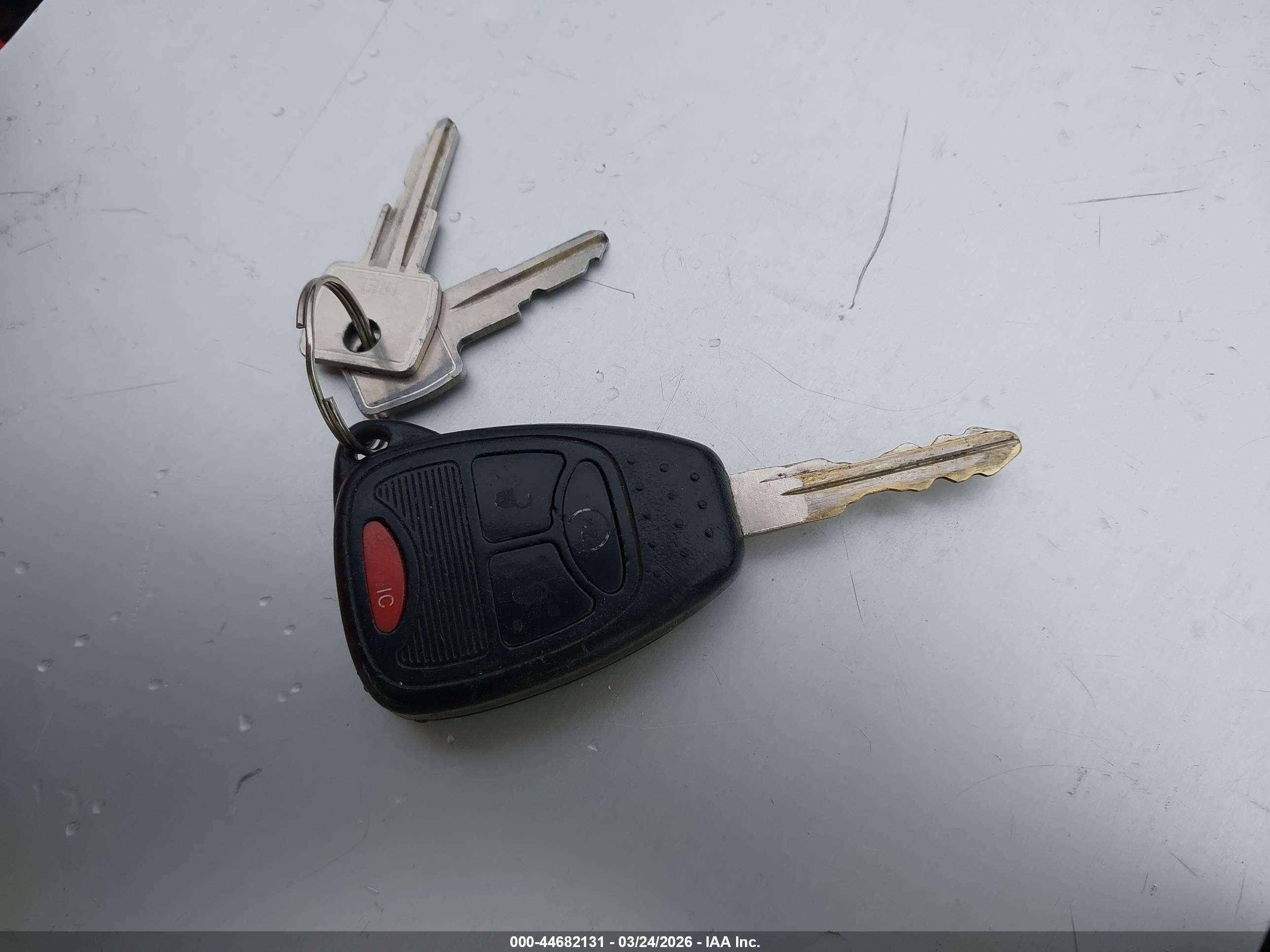 JEEP WRANGLER image 11