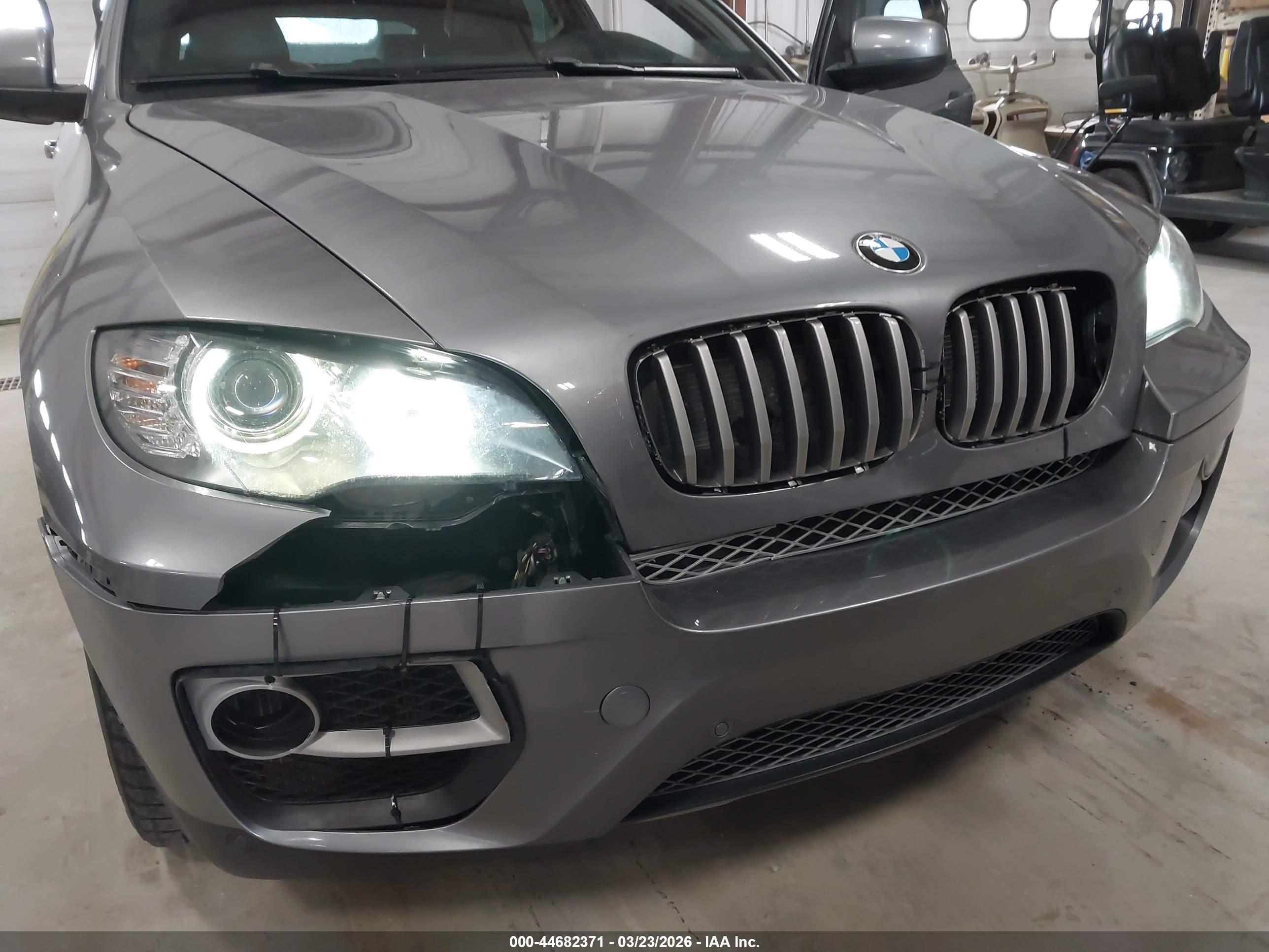 BMW X6 image 6