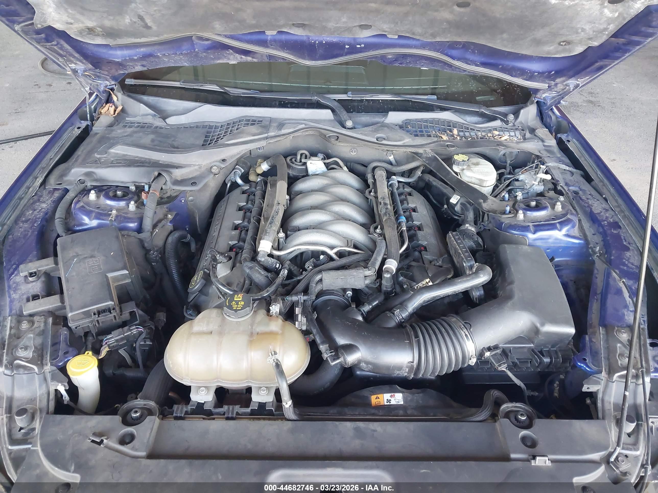 FORD MUSTANG image 10