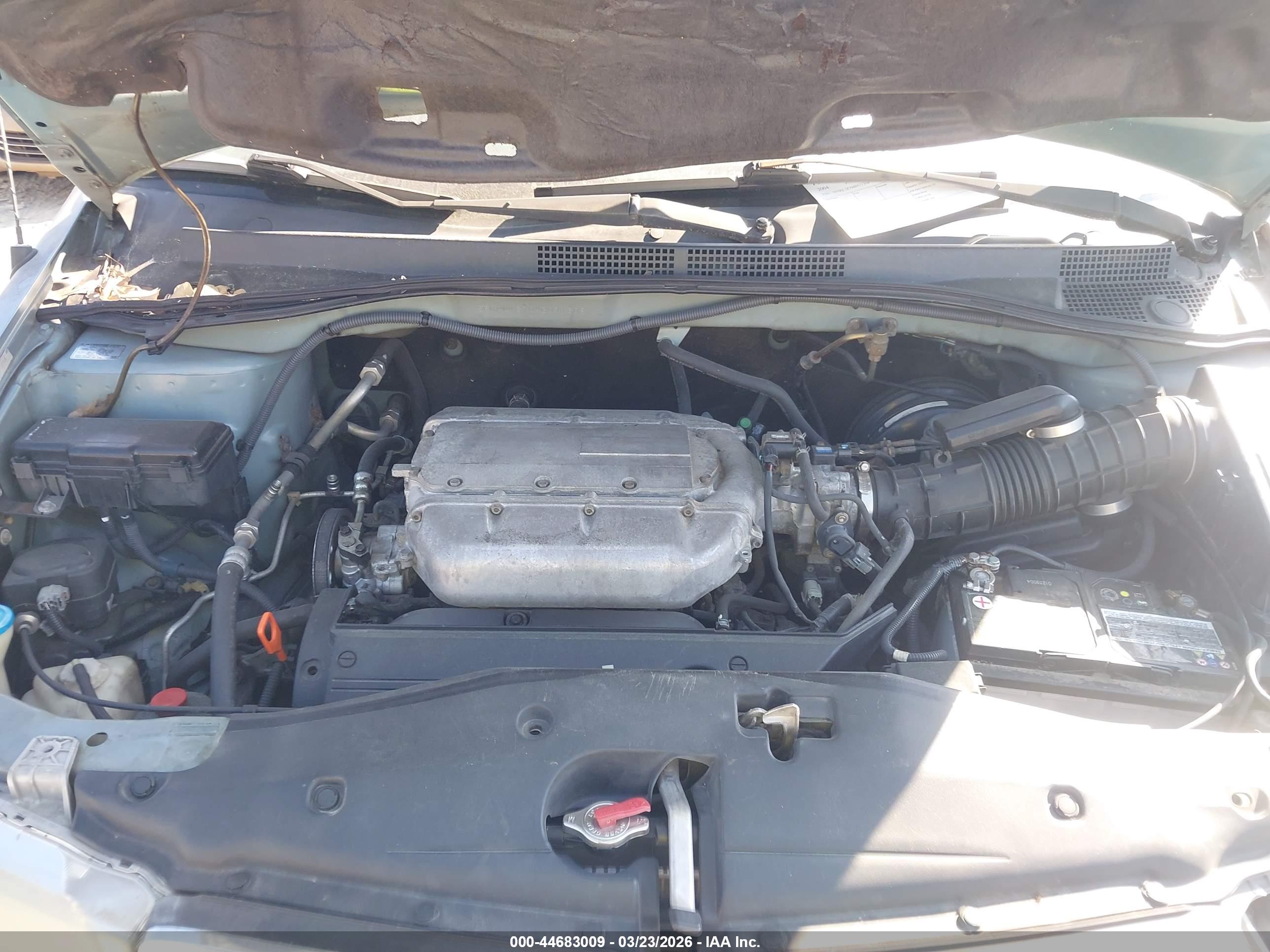 HONDA ODYSSEY image 10