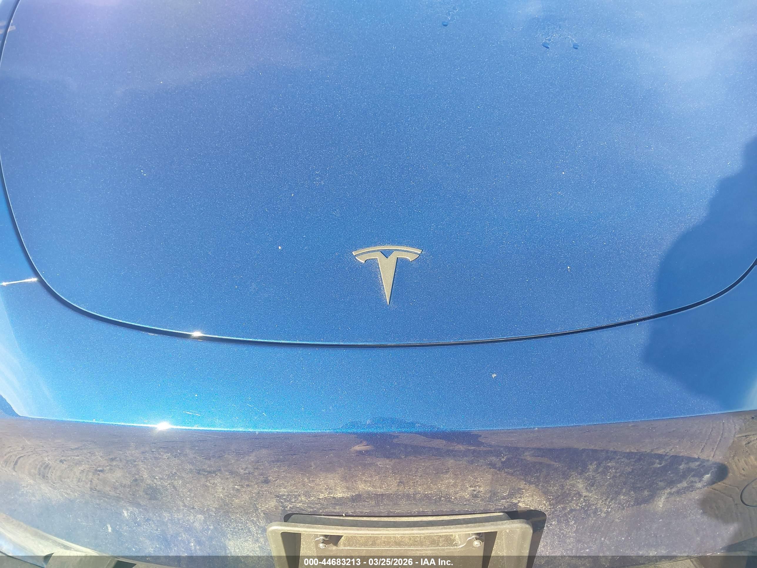 TESLA MODEL image 10