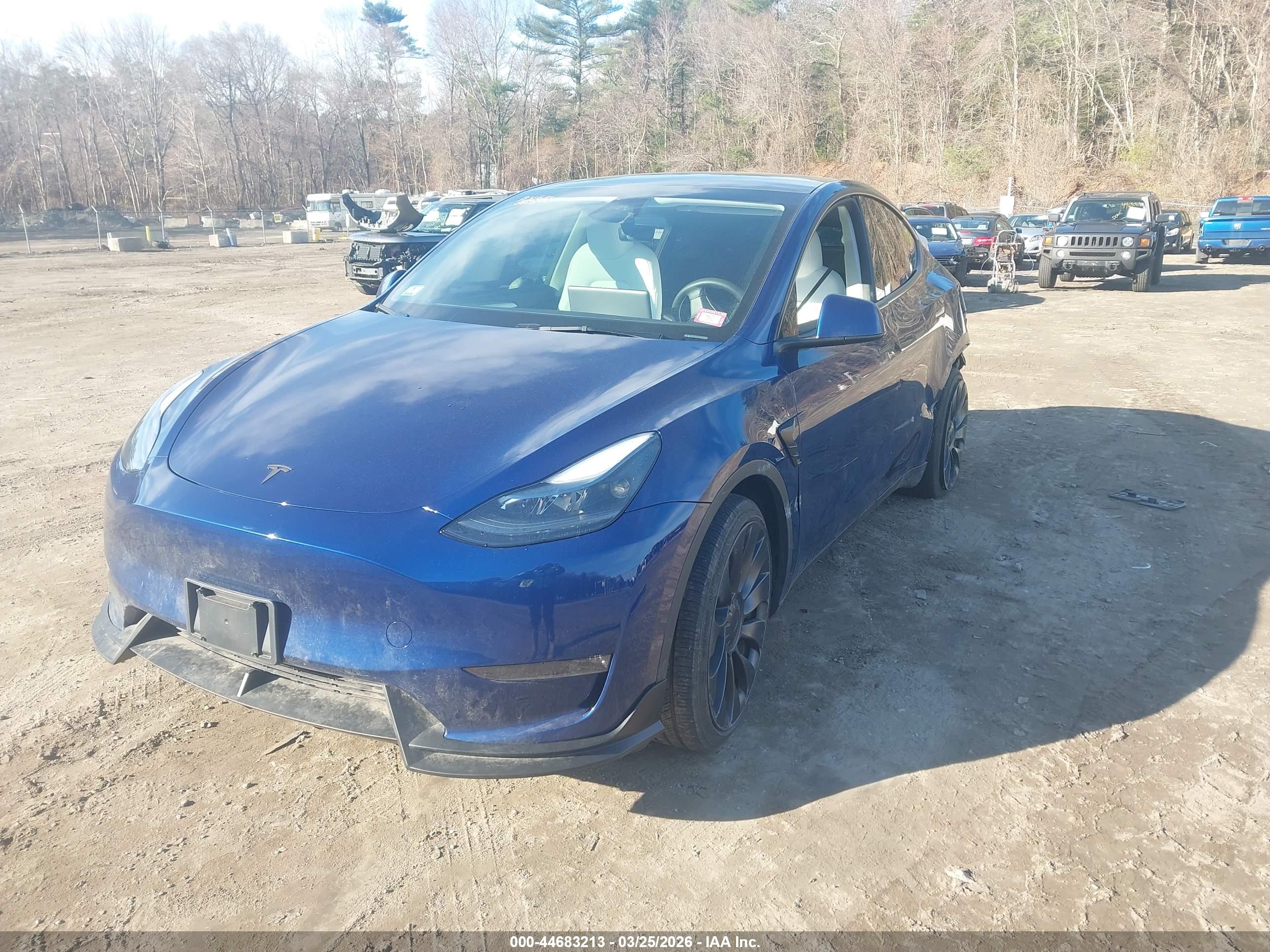 TESLA MODEL image 2