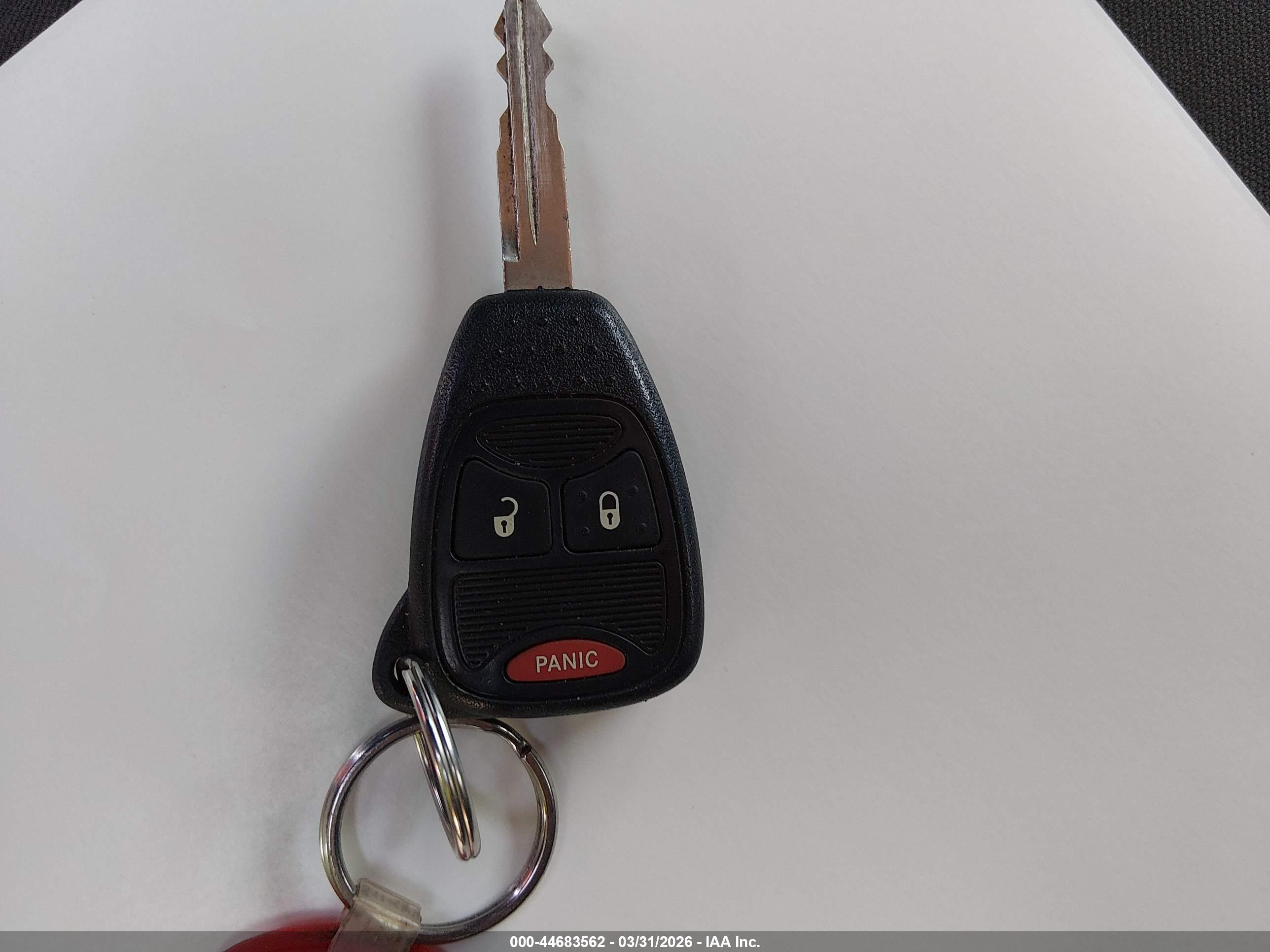 JEEP WRANGLER image 11