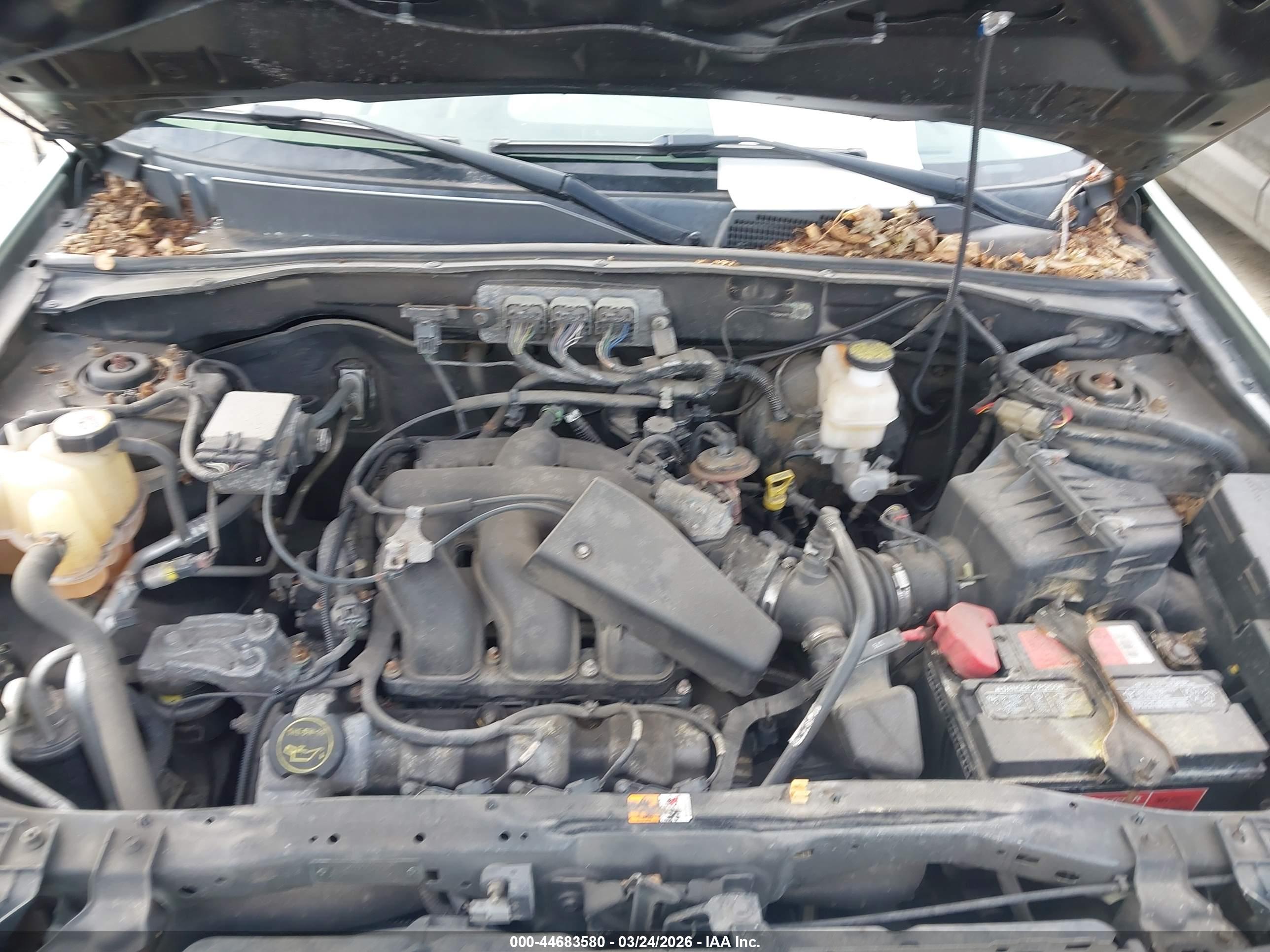 FORD ESCAPE image 10