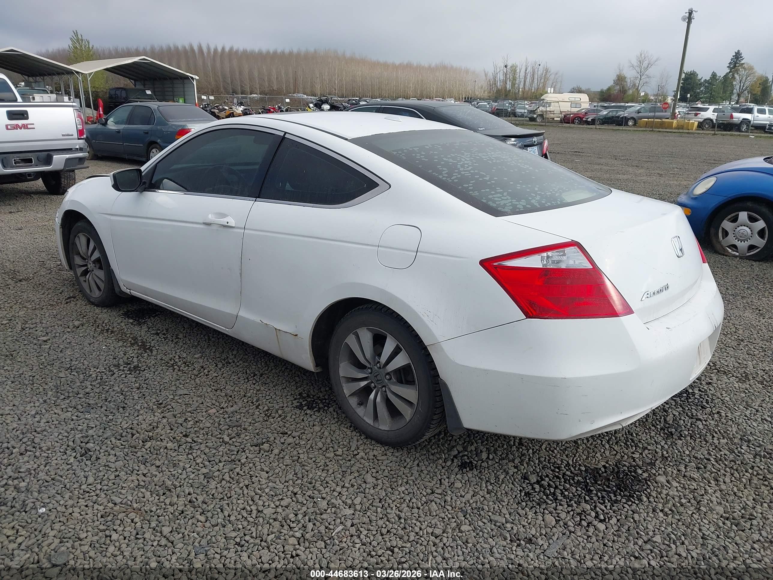 HONDA ACCORD image 3