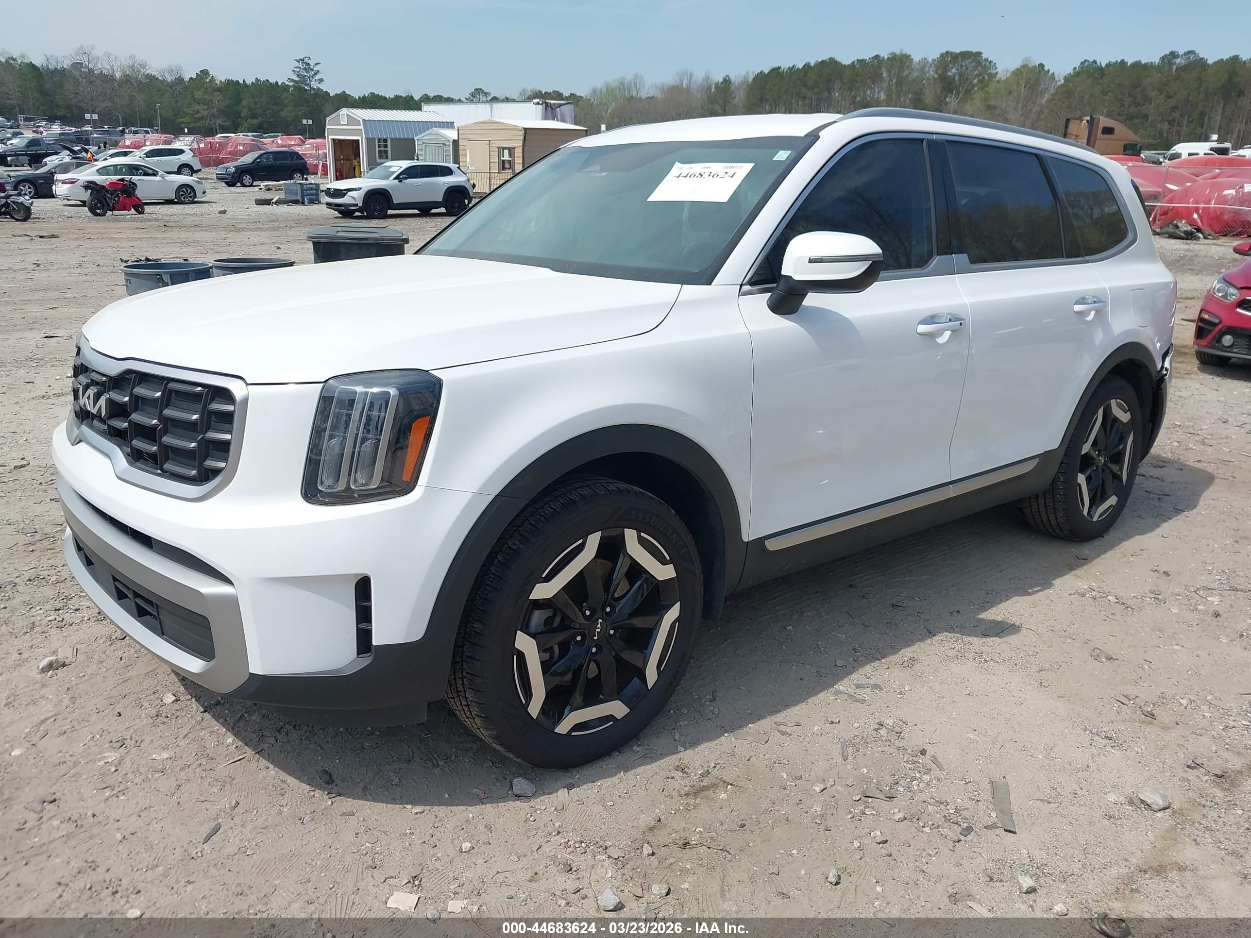 KIA TELLURIDE image 2