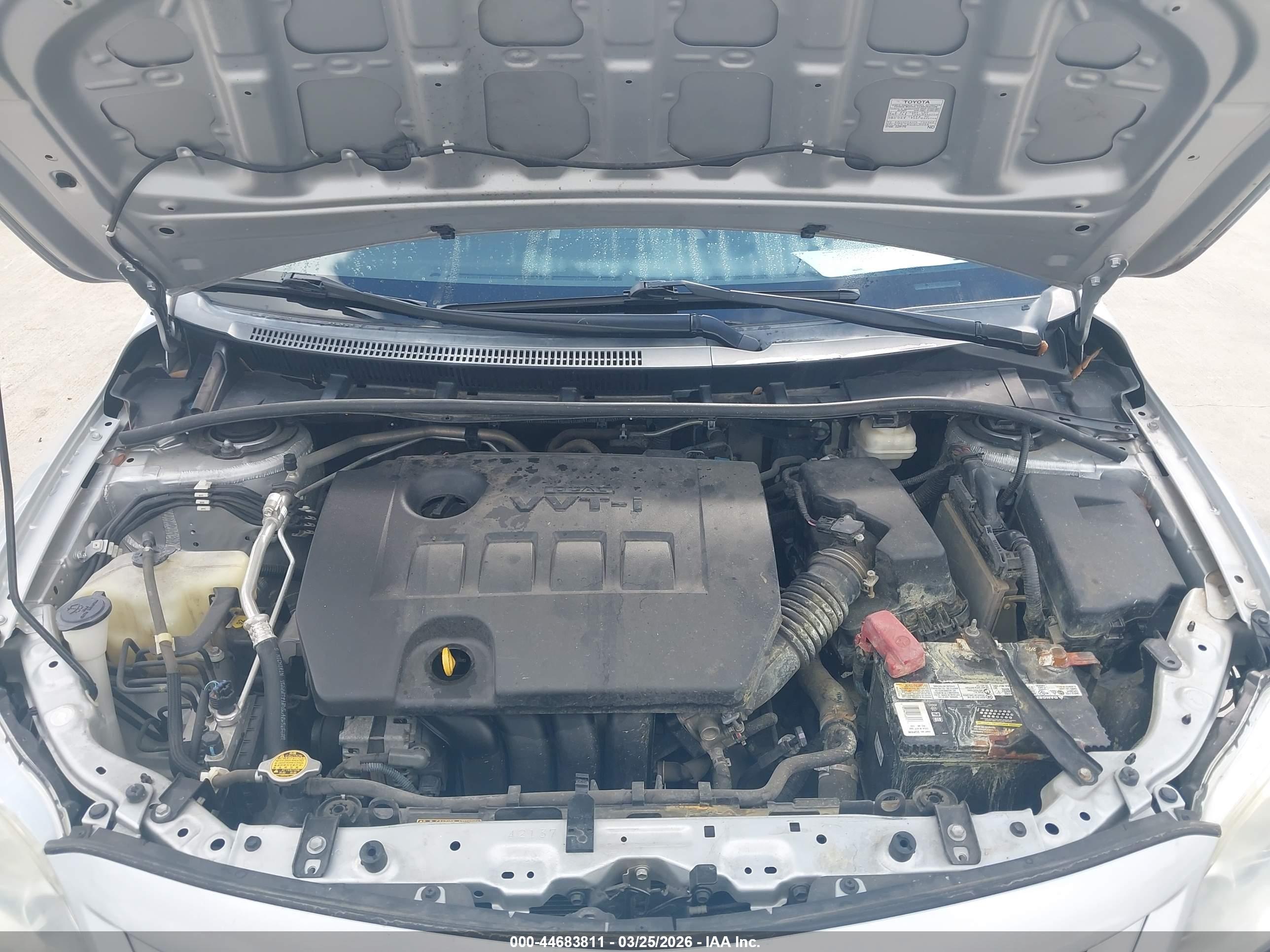 TOYOTA COROLLA image 10