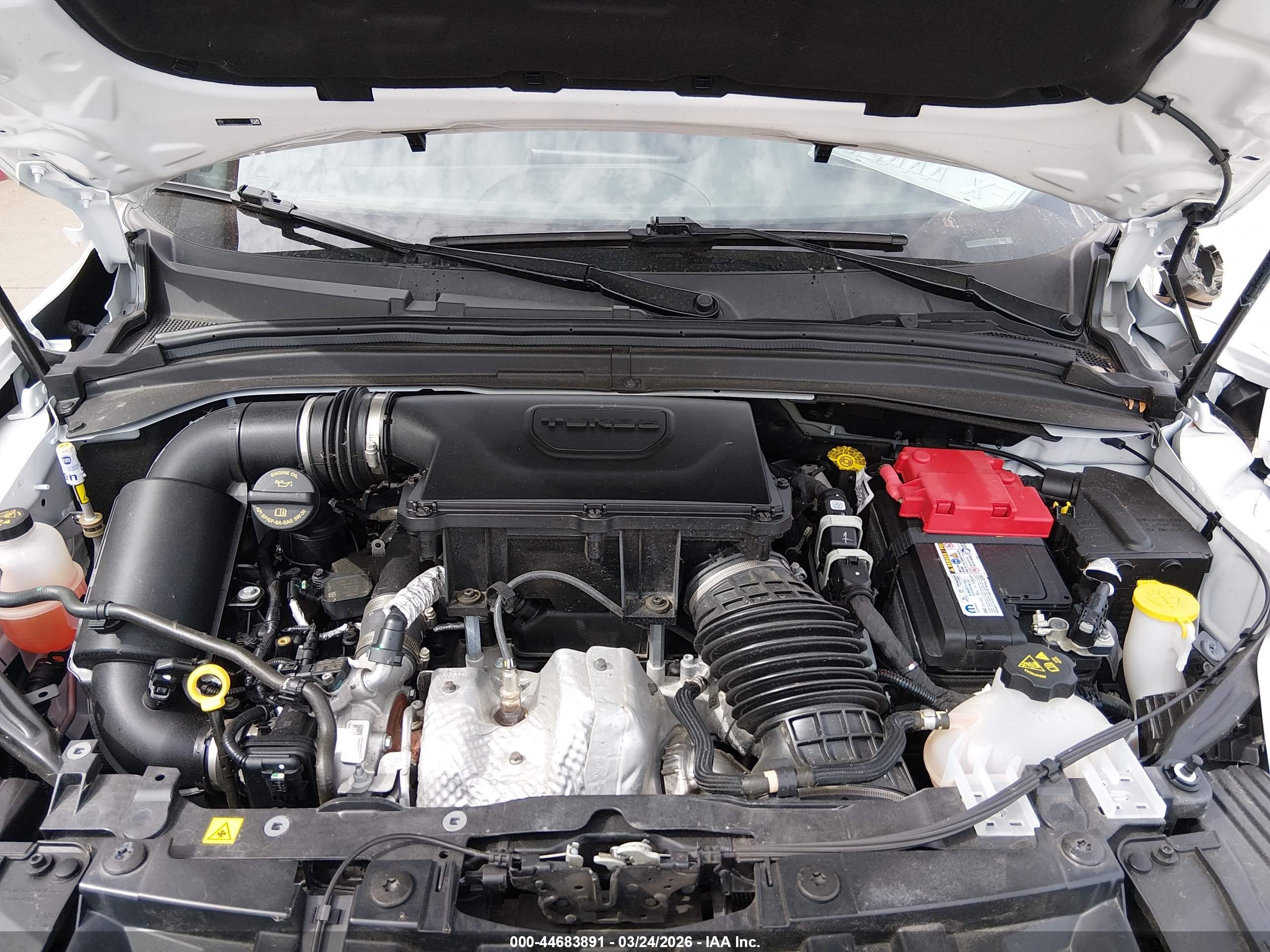 DODGE HORNET image 10