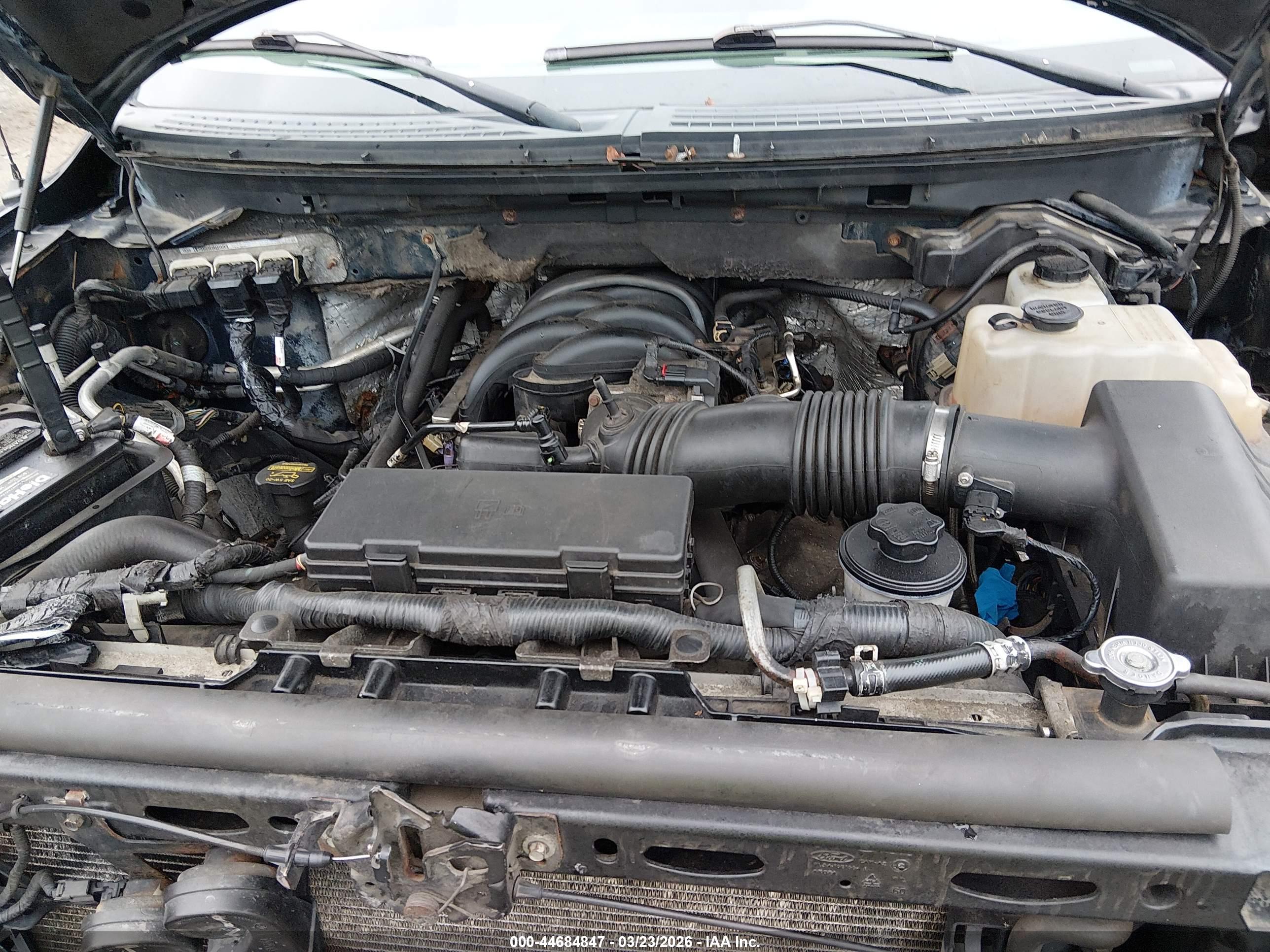 FORD F-150 image 10