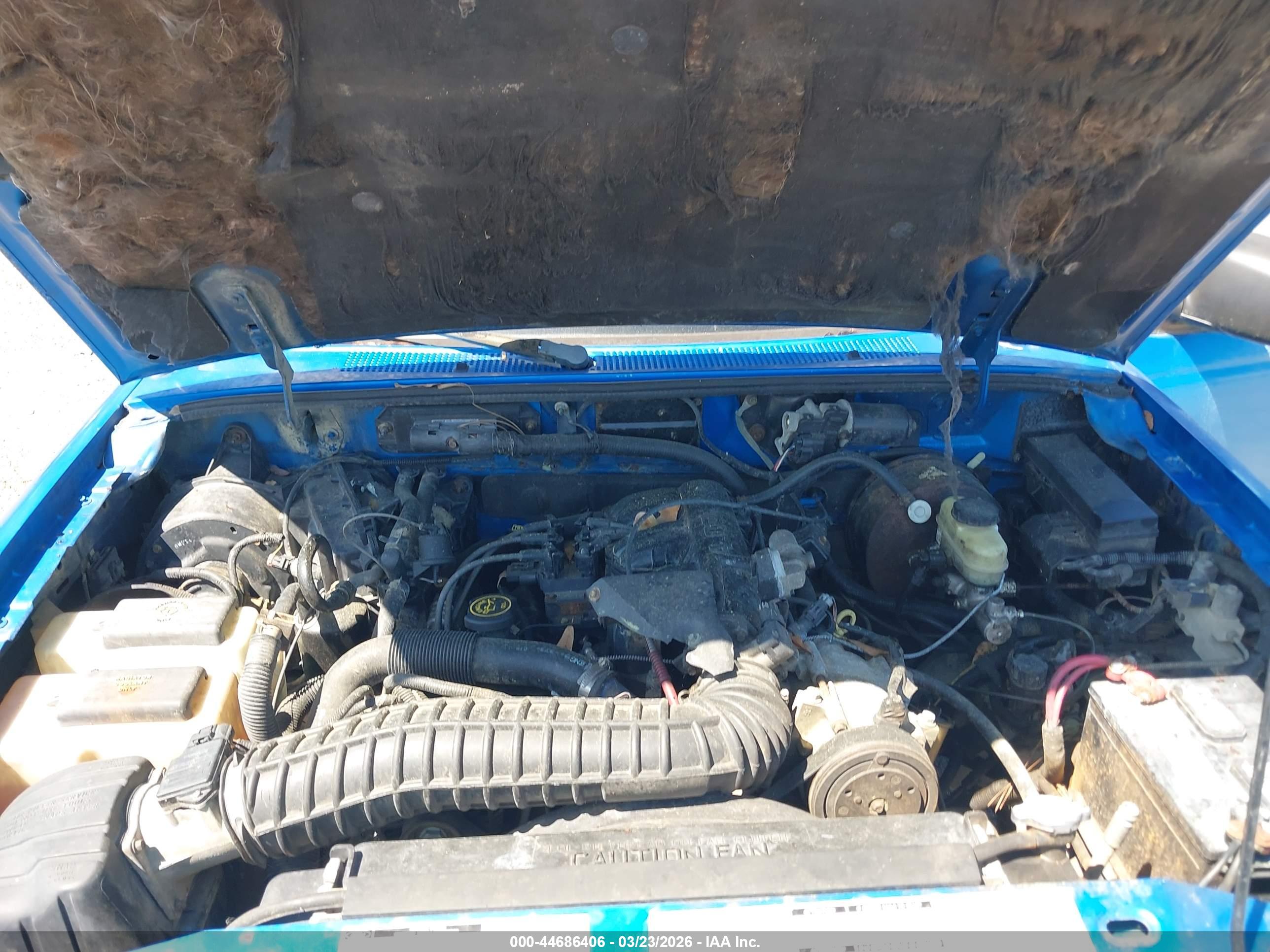 FORD RANGER image 10