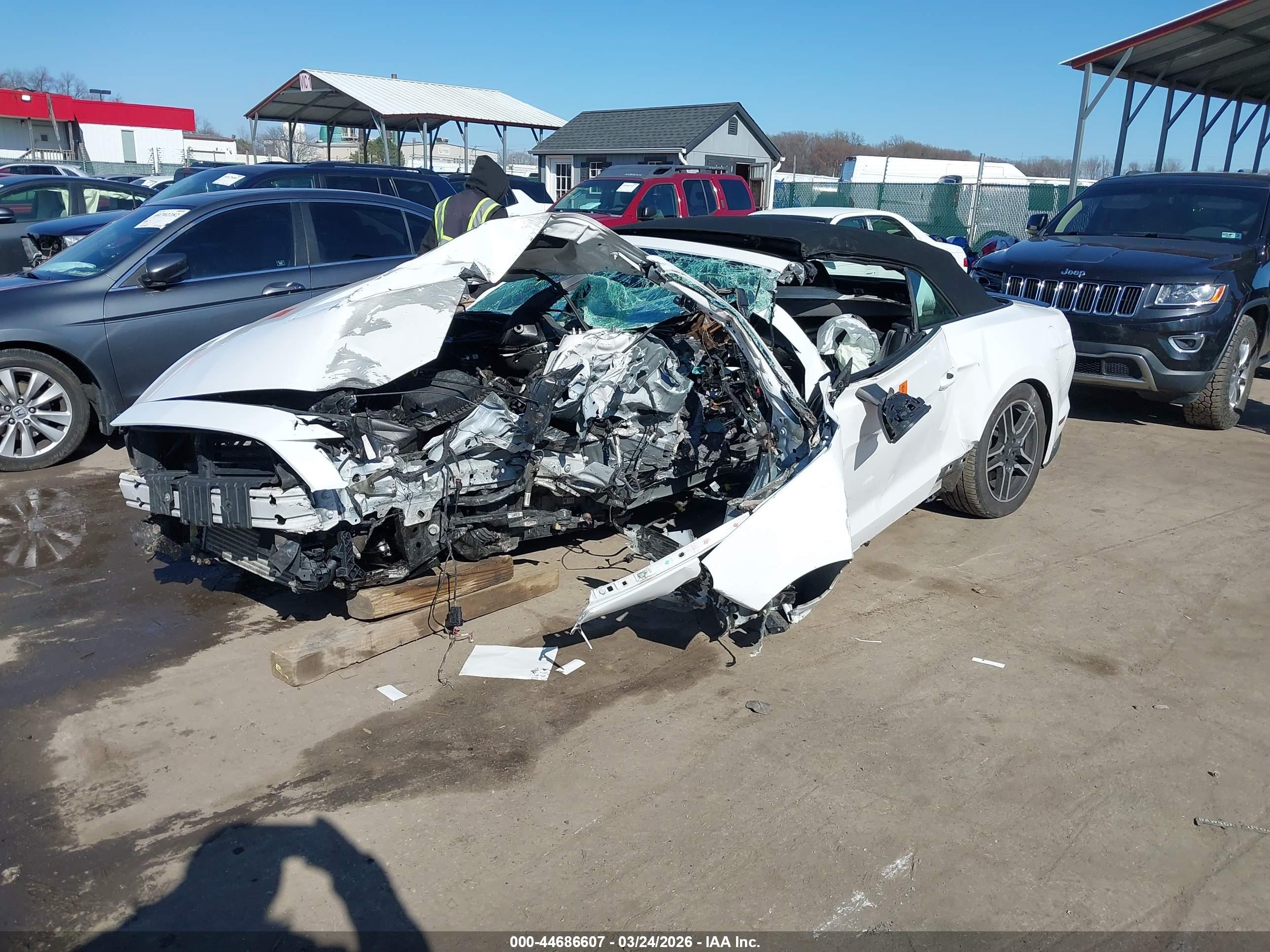FORD MUSTANG image 2