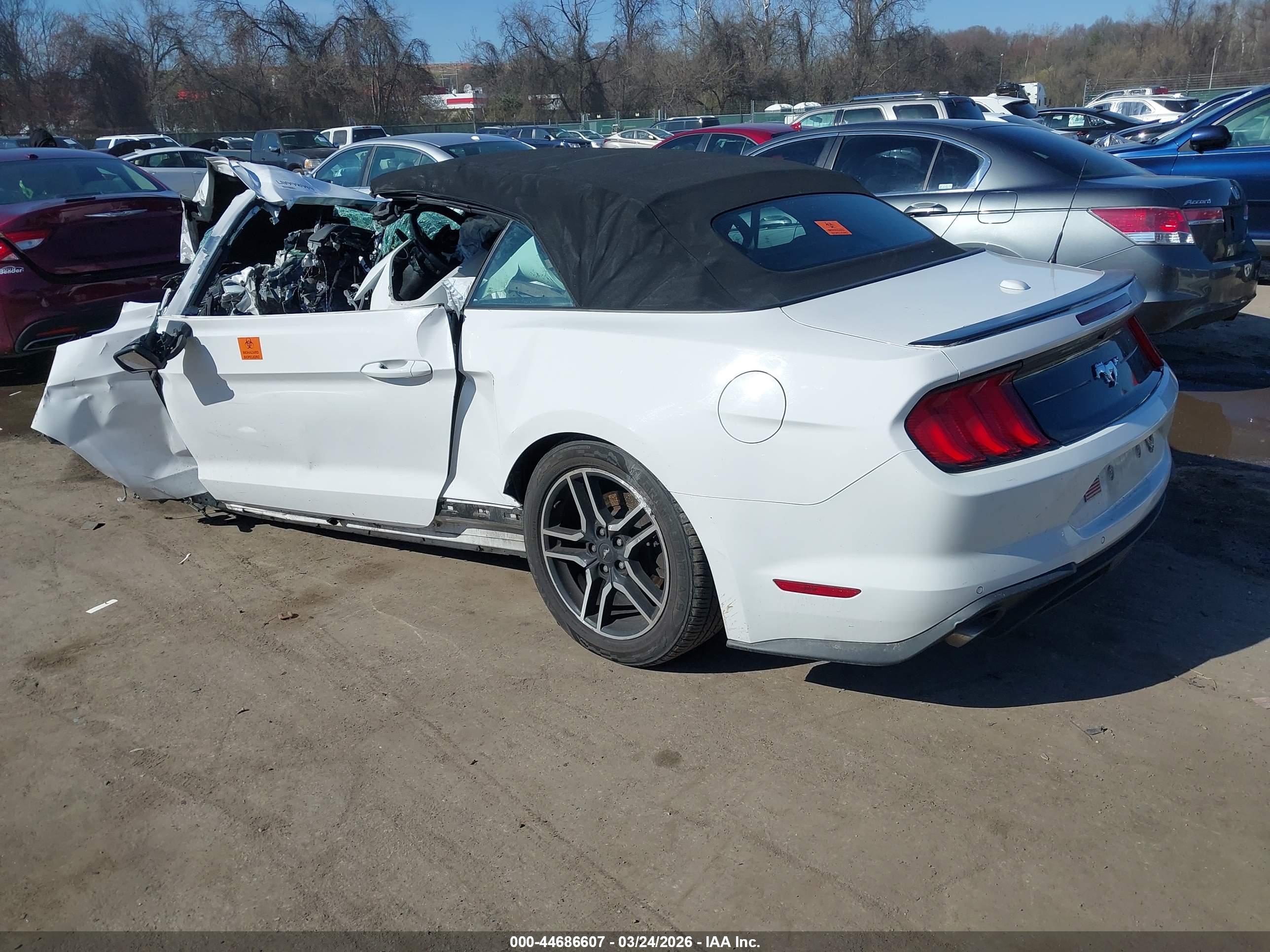 FORD MUSTANG image 3