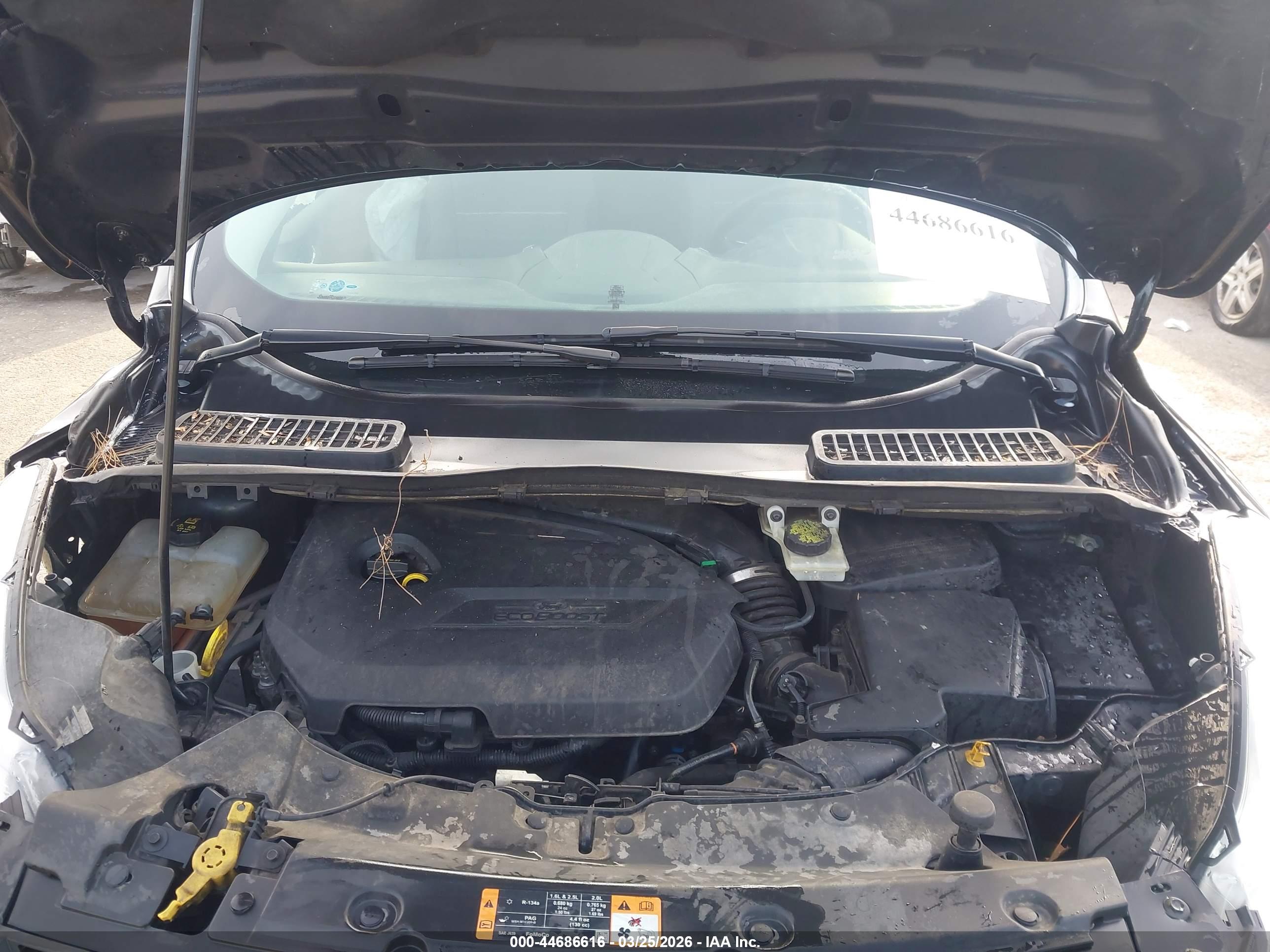 FORD ESCAPE image 10