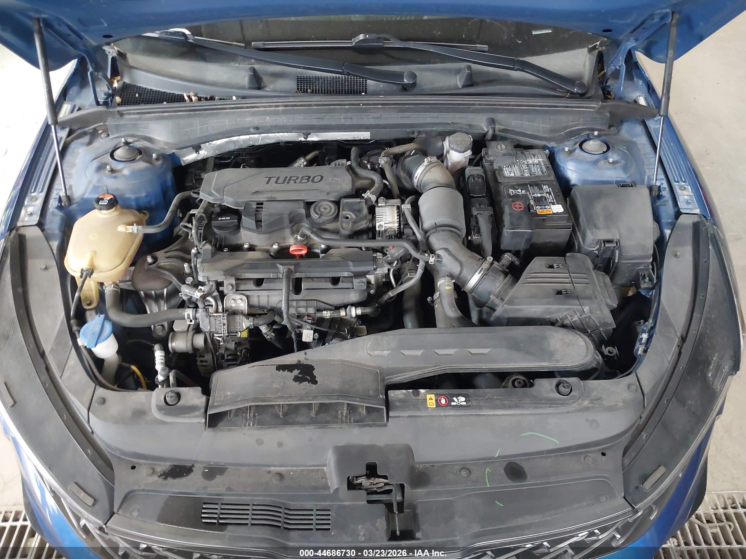 KIA K5 image 10