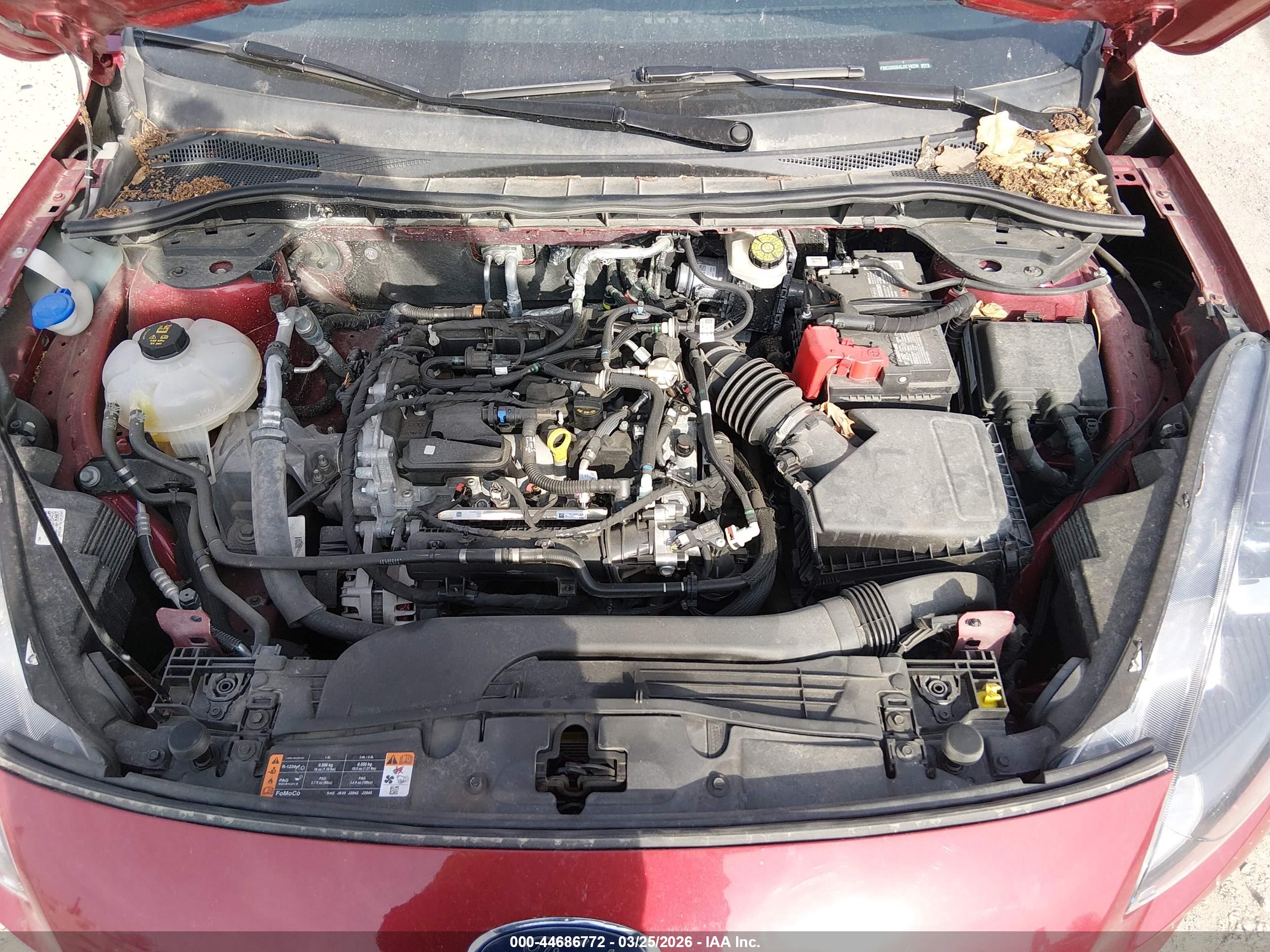 FORD ESCAPE image 10