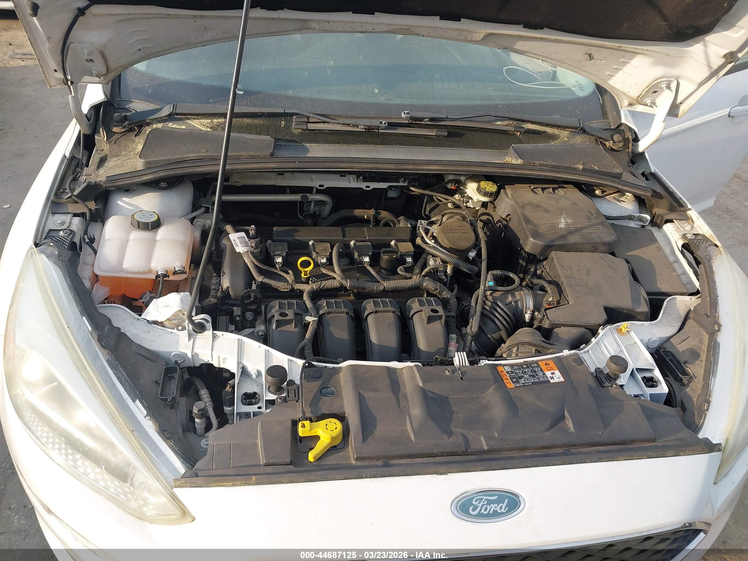 FORD FOCUS image 10