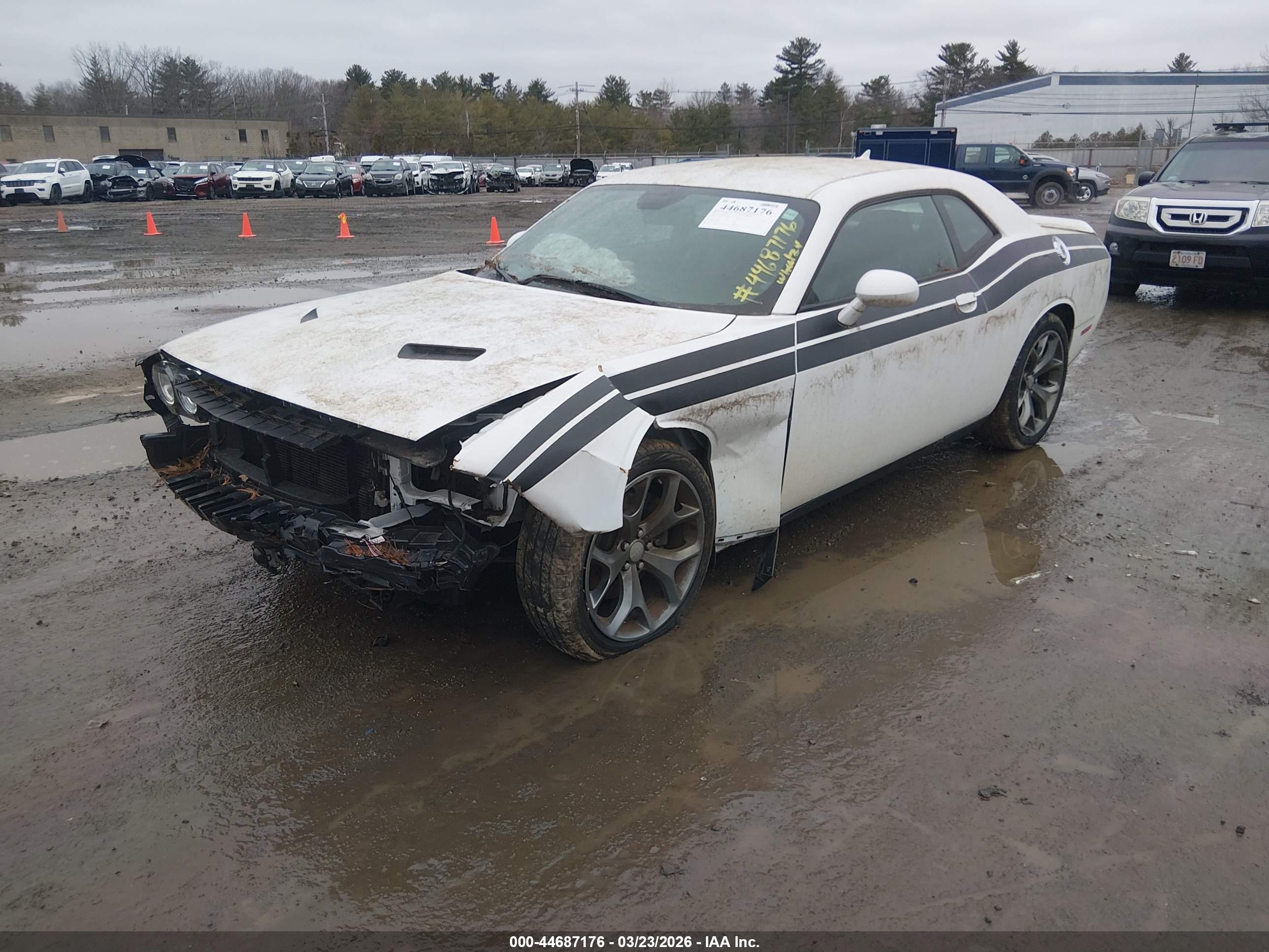 DODGE CHALLENGER image 2