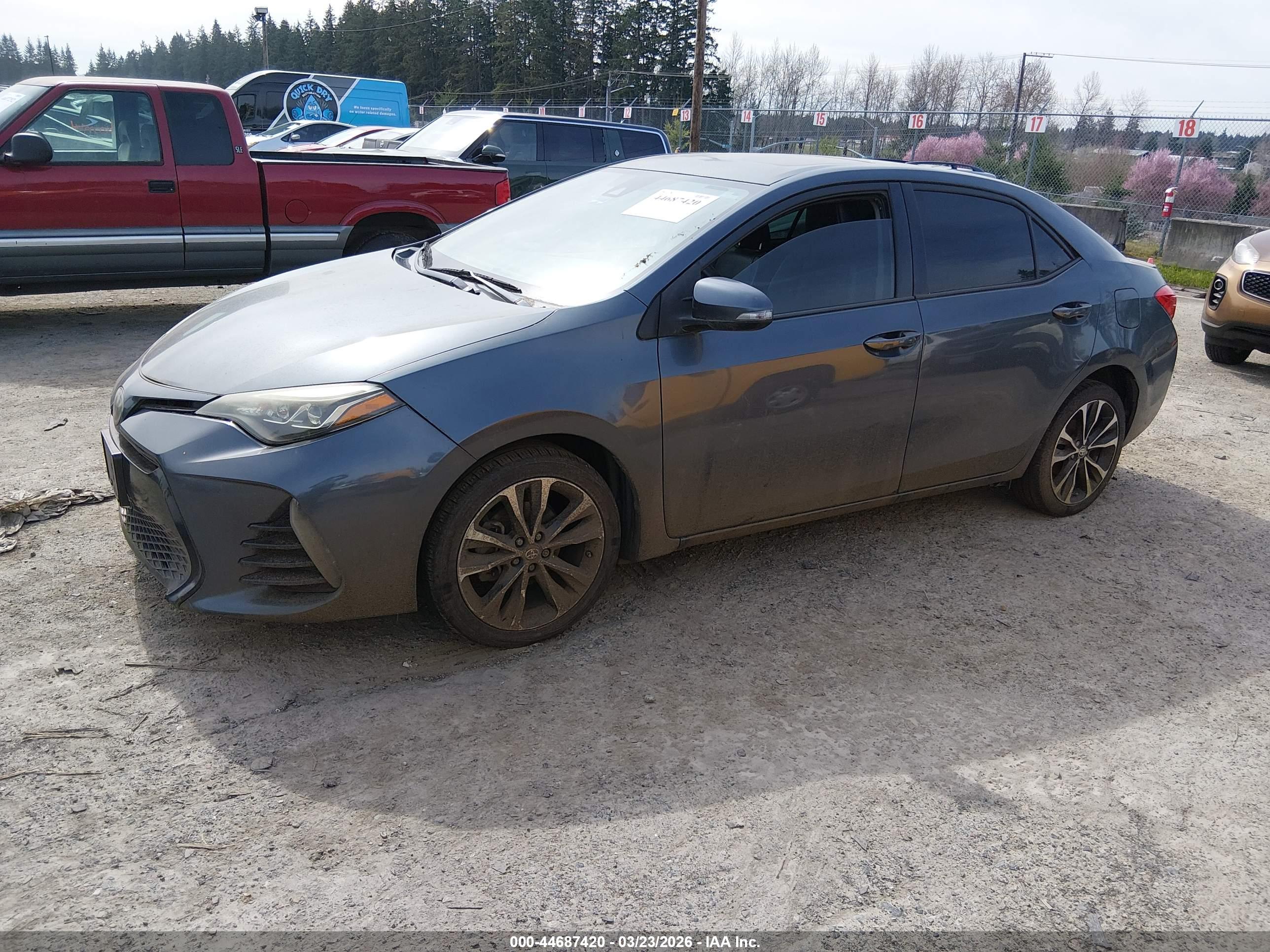TOYOTA COROLLA image 2