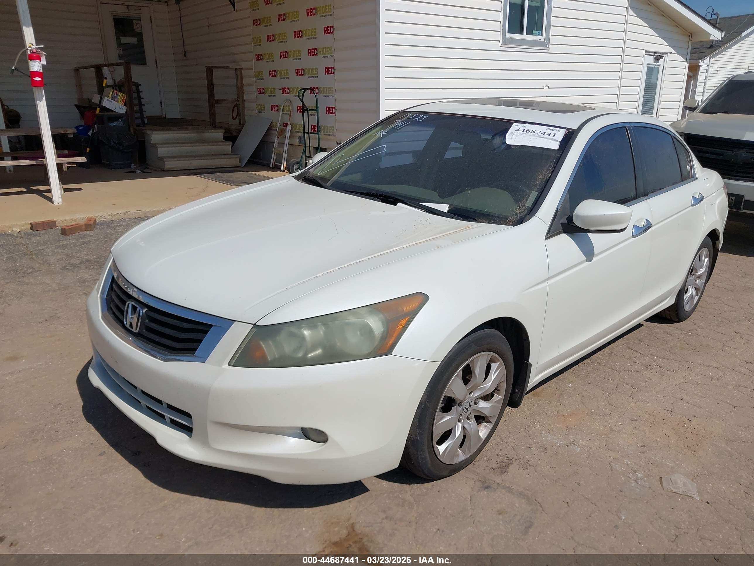 HONDA ACCORD image 2