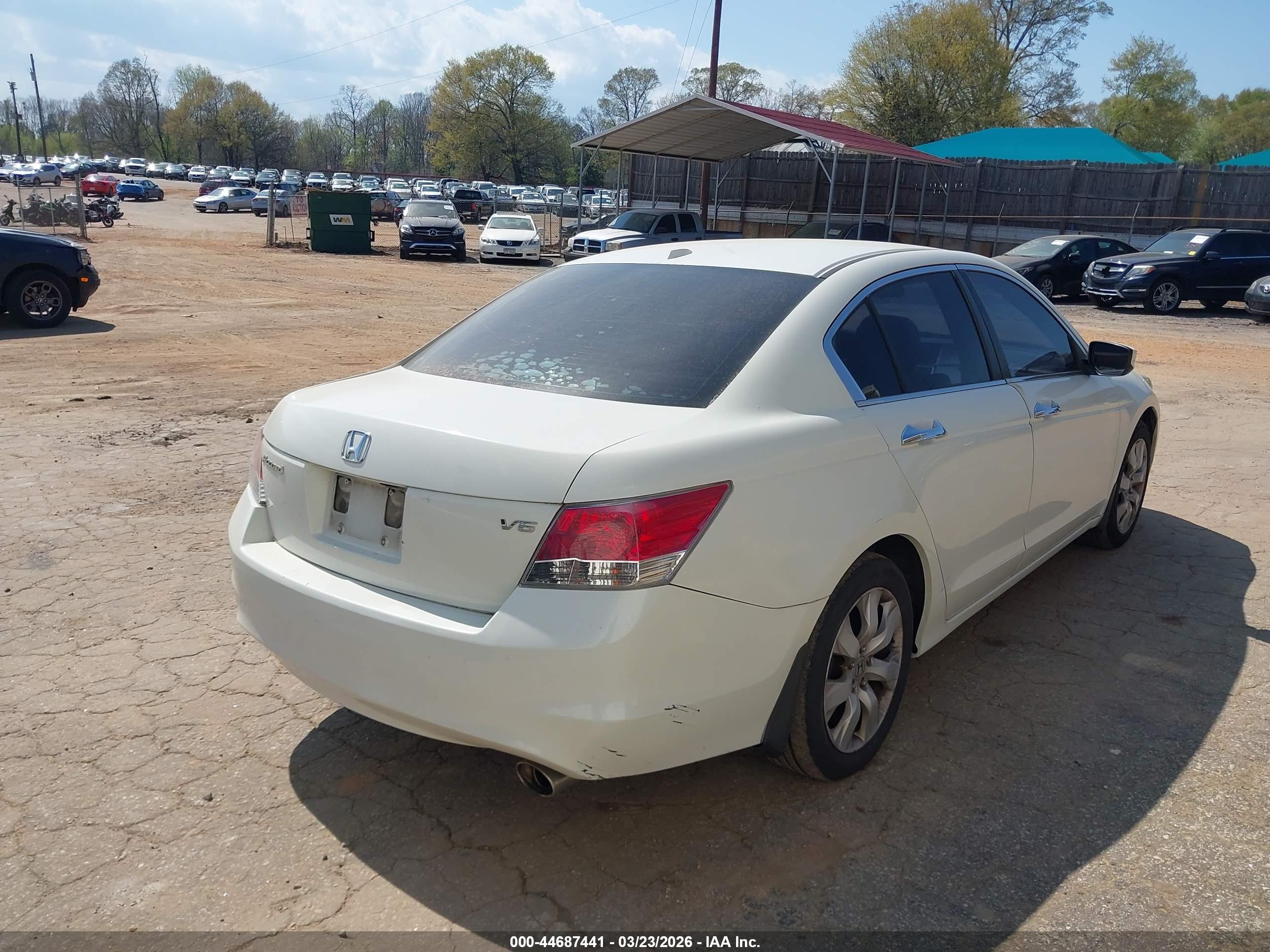 HONDA ACCORD image 4