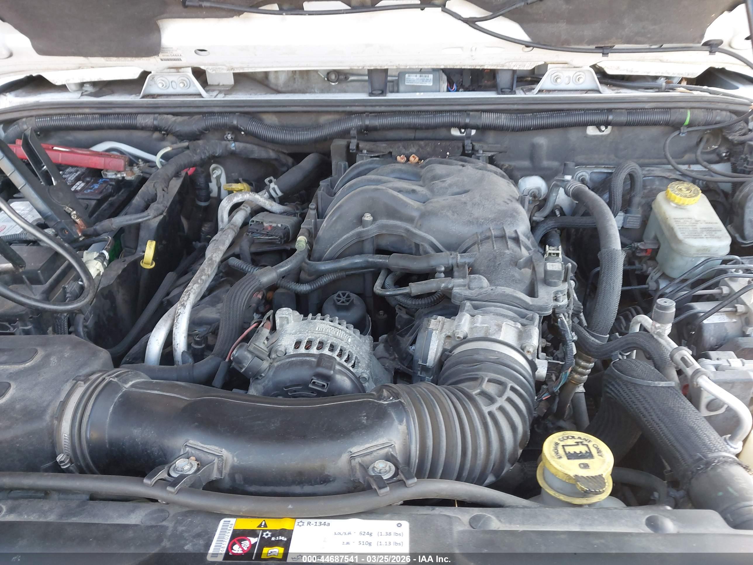 JEEP WRANGLER image 10