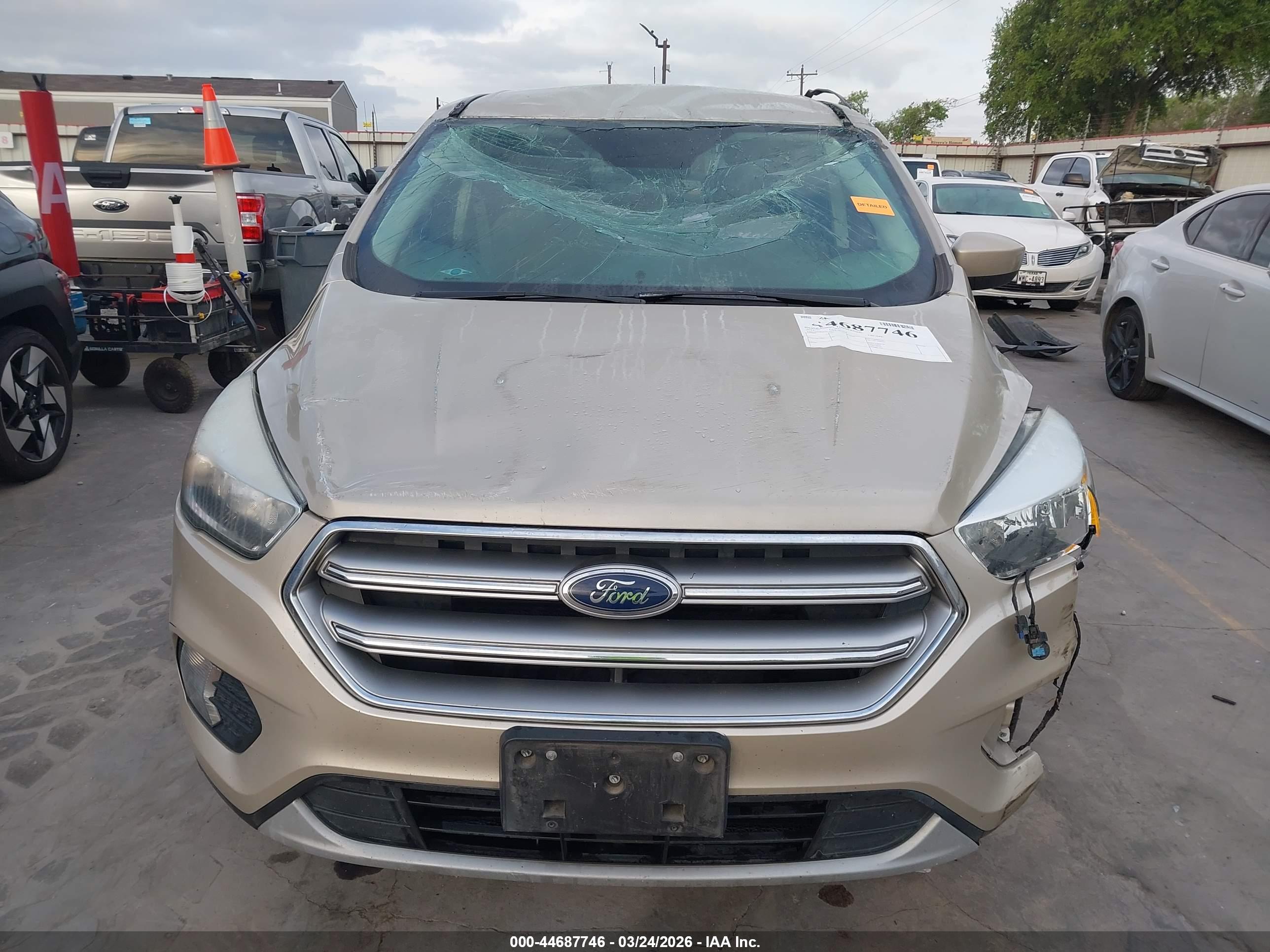 FORD ESCAPE image 6