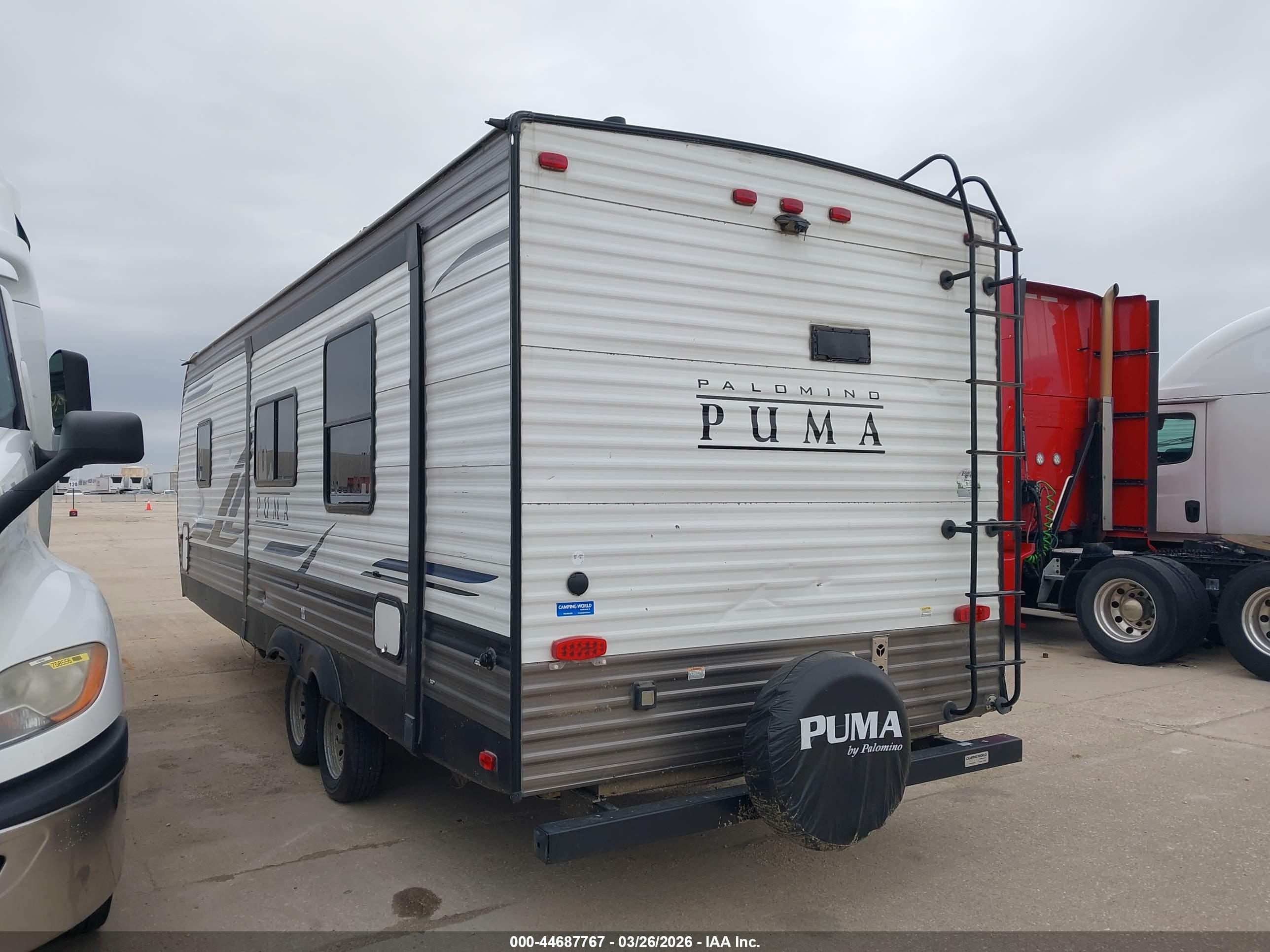 PALOMINO PUMA image 3