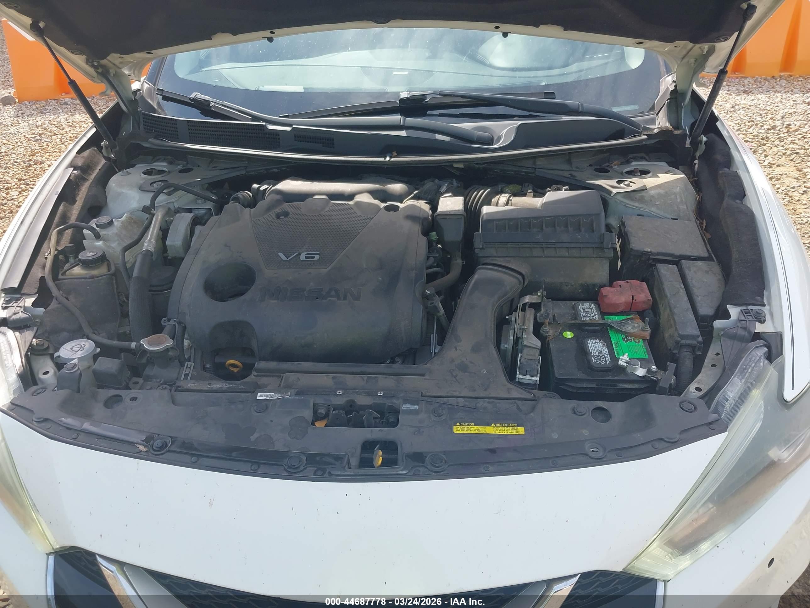 NISSAN MAXIMA image 10