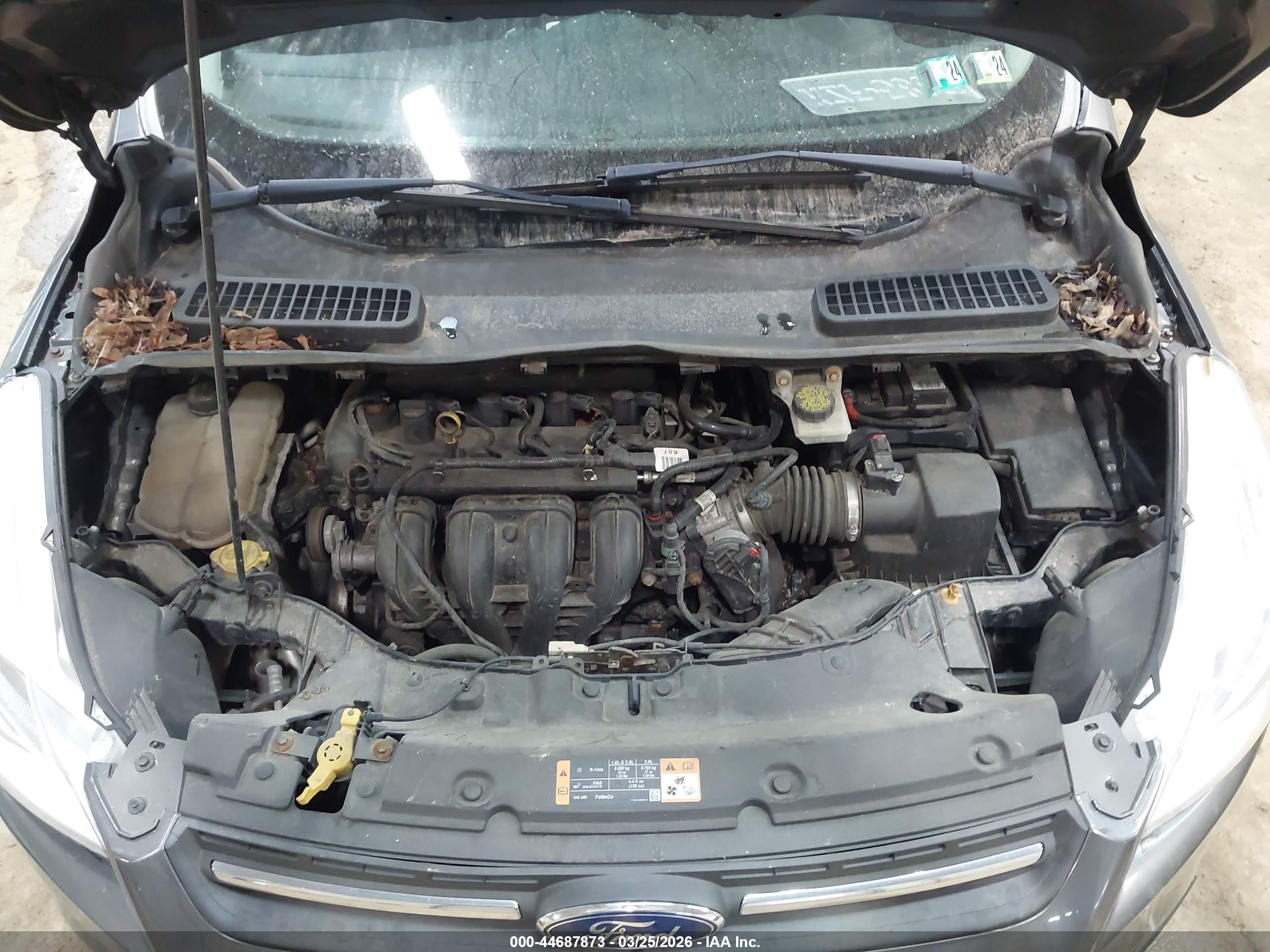 FORD ESCAPE image 10