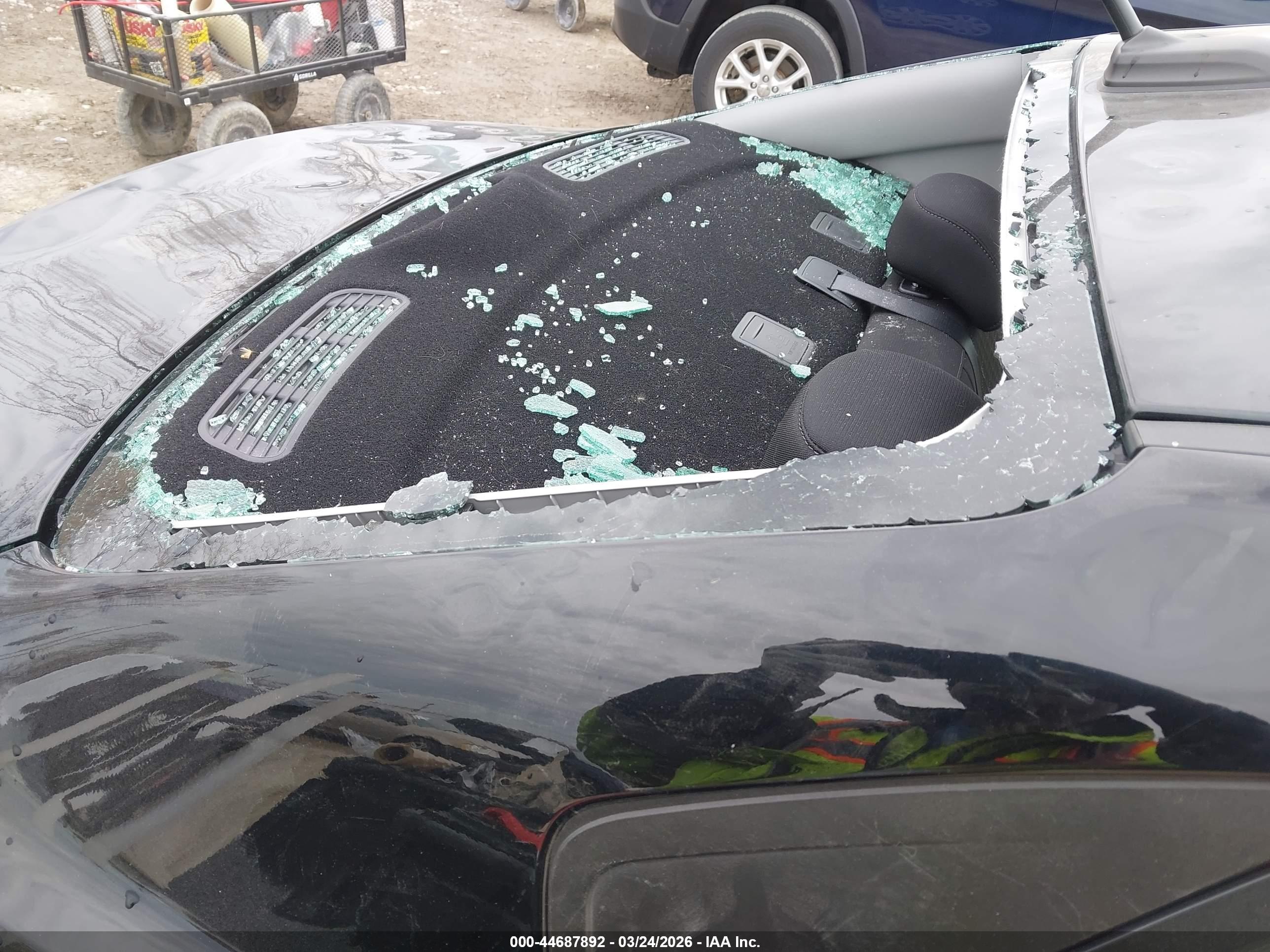 KIA RIO image 6