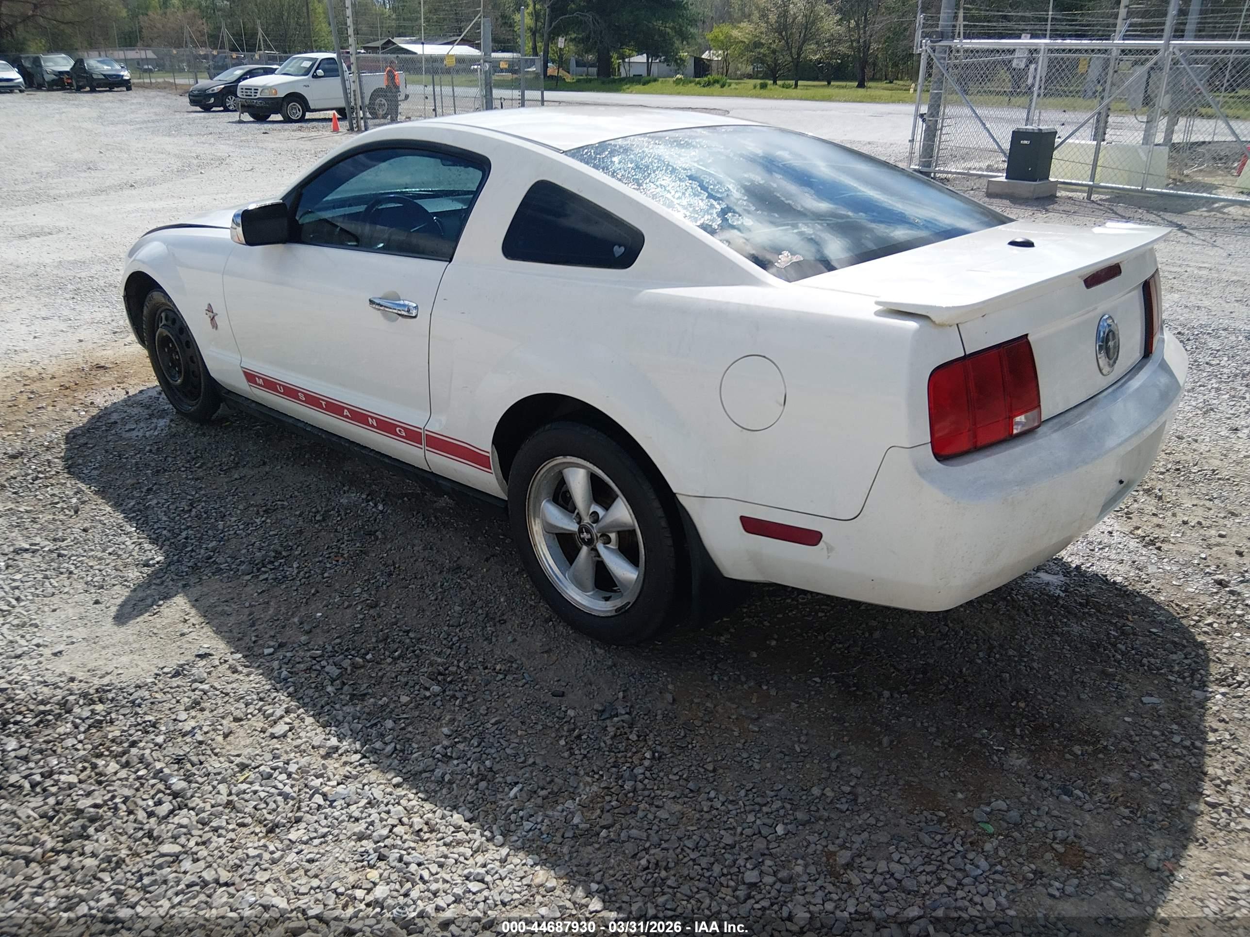 FORD MUSTANG image 3