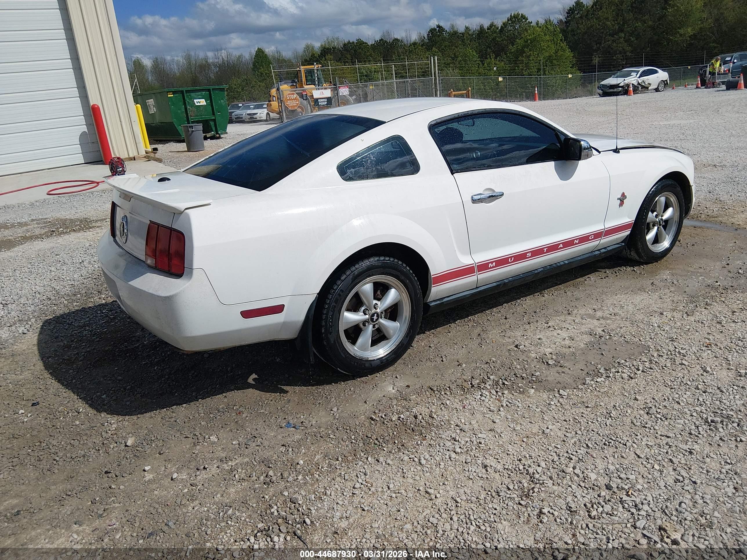 FORD MUSTANG image 4