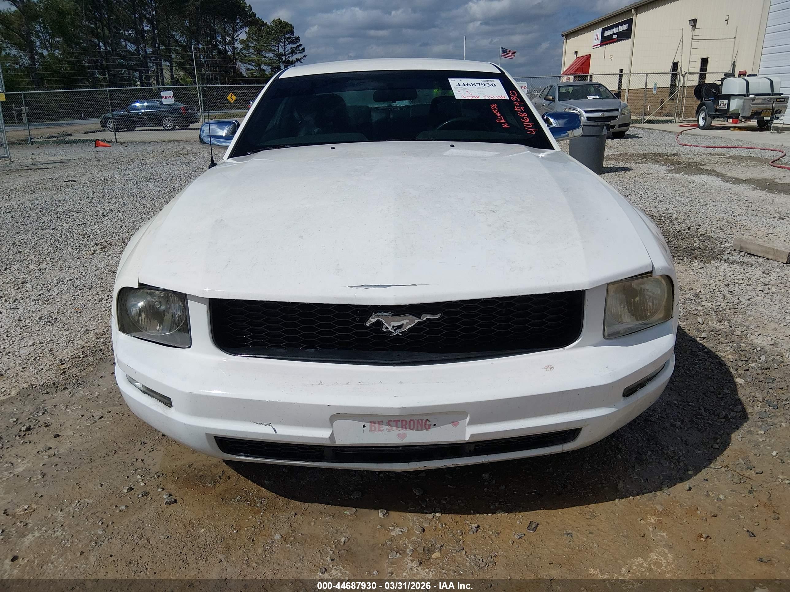 FORD MUSTANG image 6