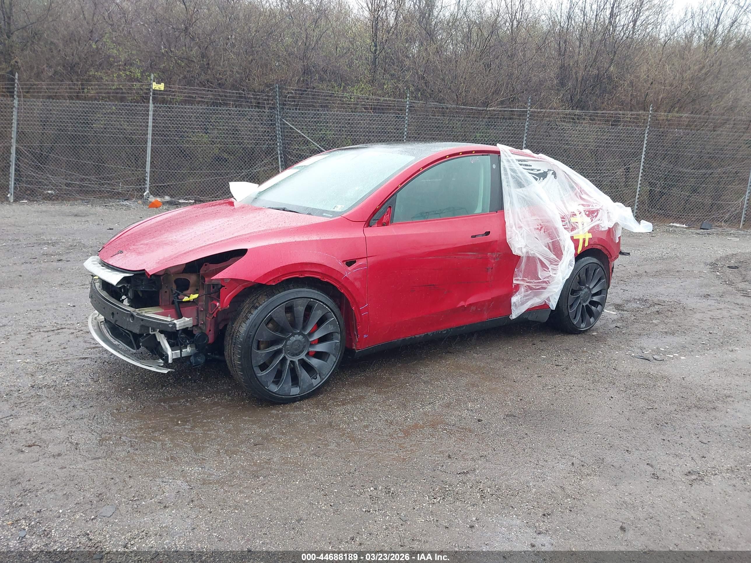 TESLA MODEL image 2