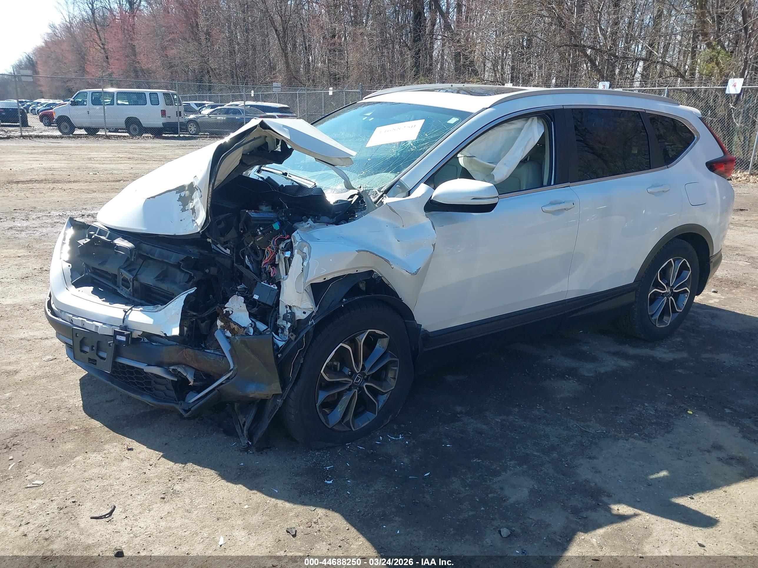 HONDA CR-V image 2