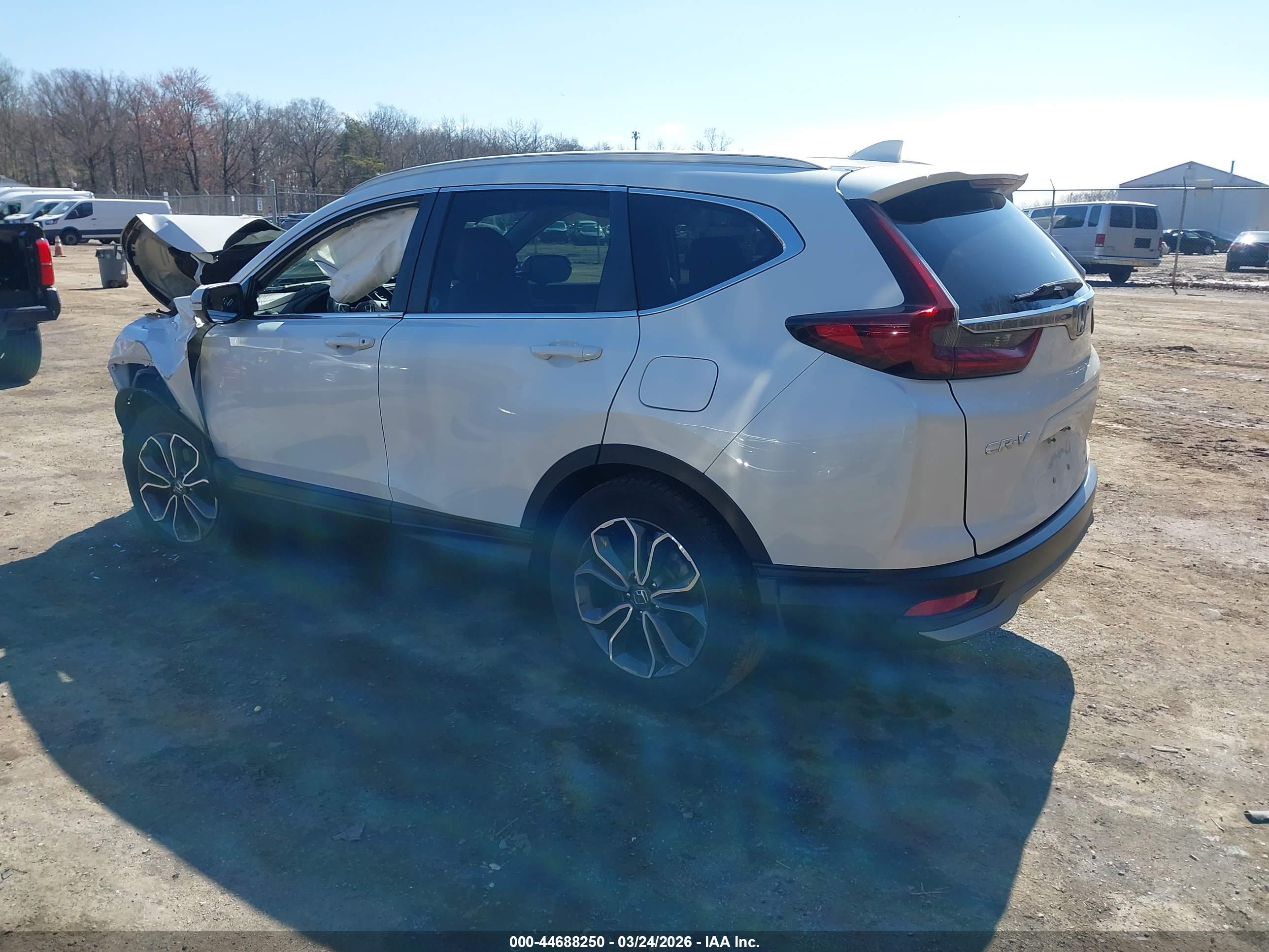HONDA CR-V image 3