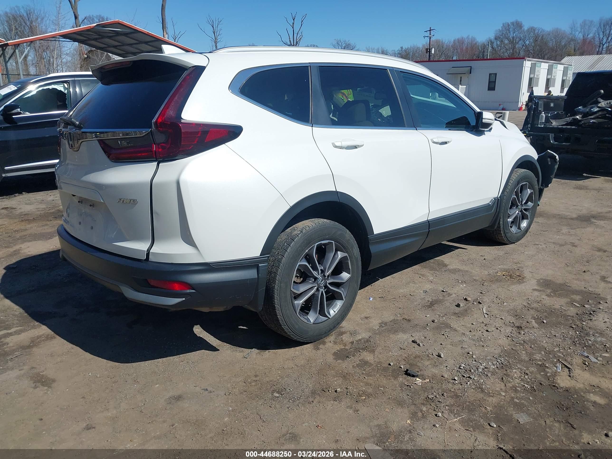HONDA CR-V image 4