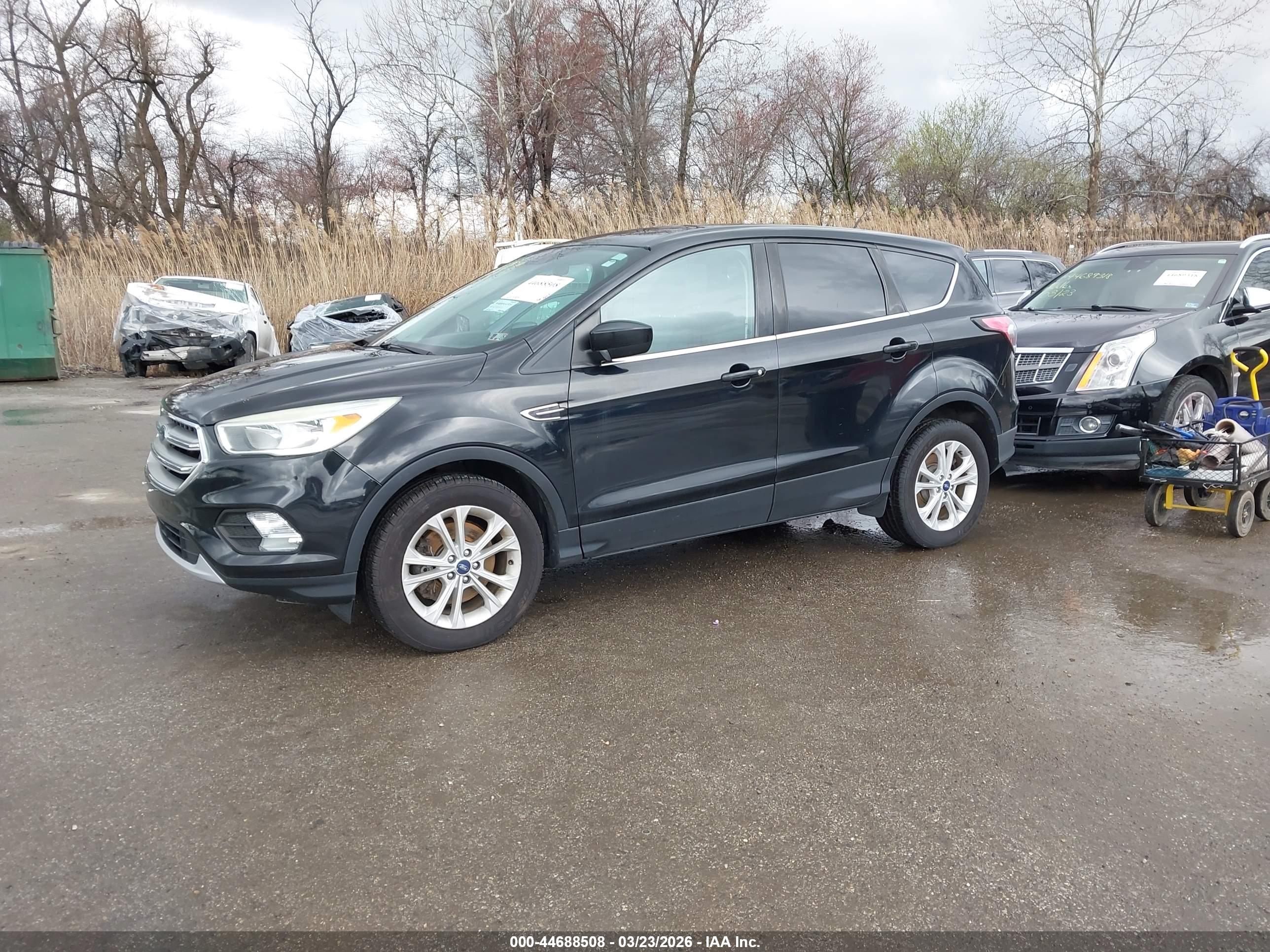 FORD ESCAPE image 2