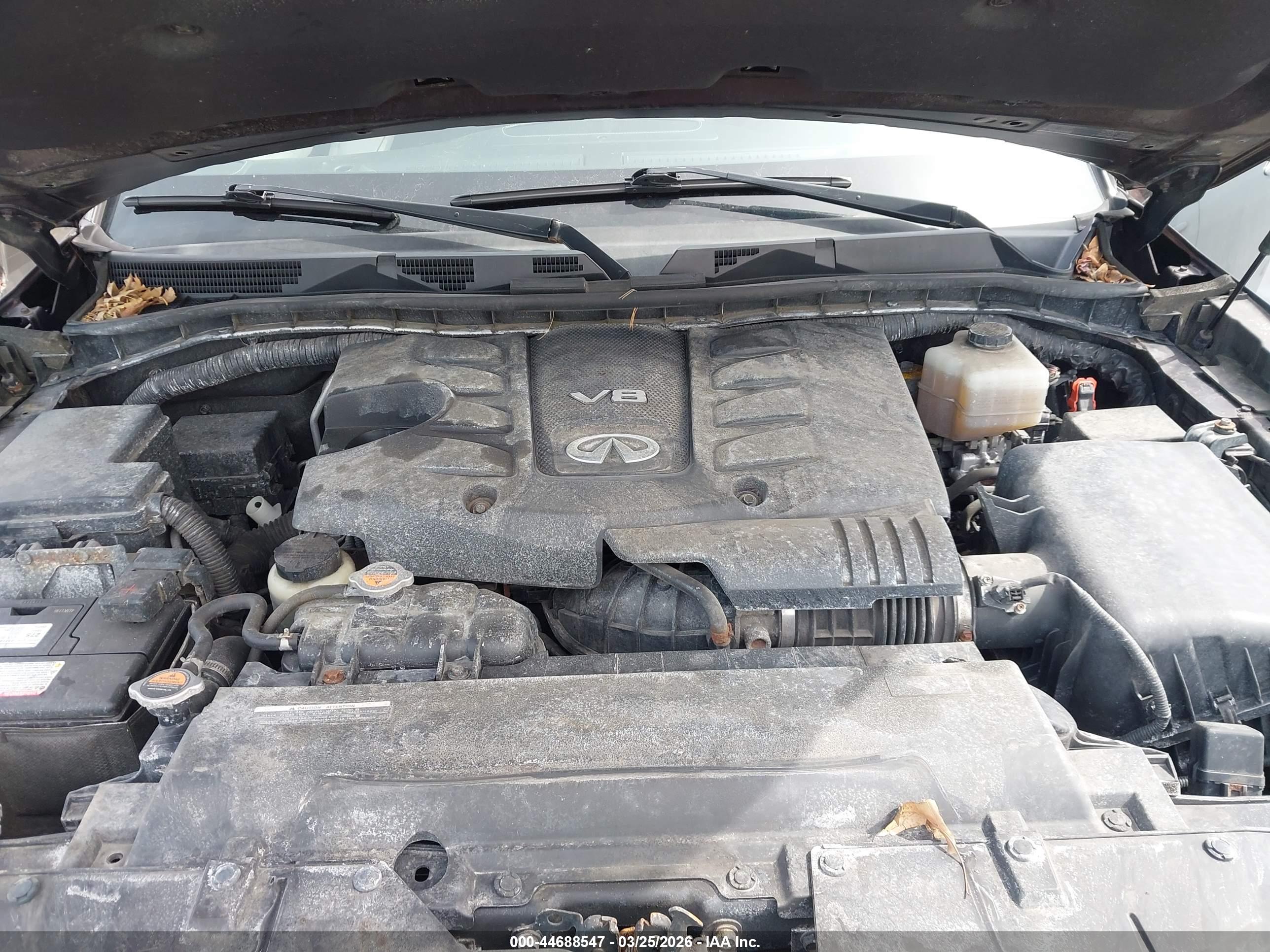 INFINITI QX80 image 10