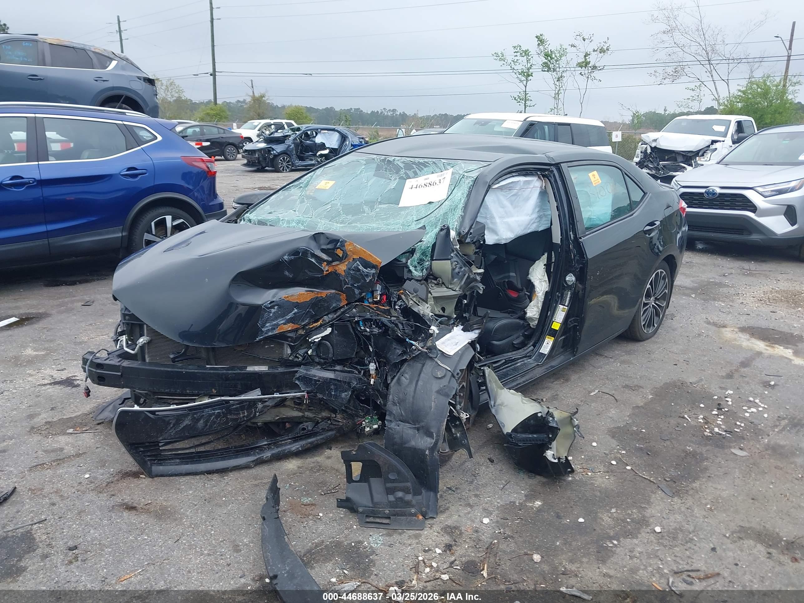TOYOTA COROLLA image 2