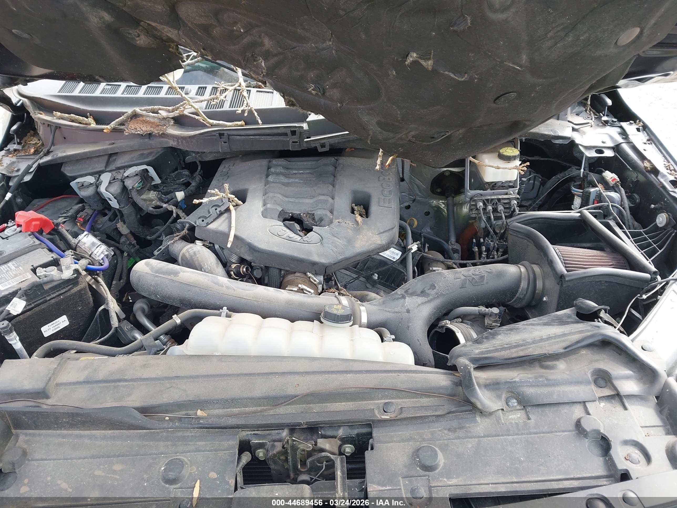 FORD F-150 image 10