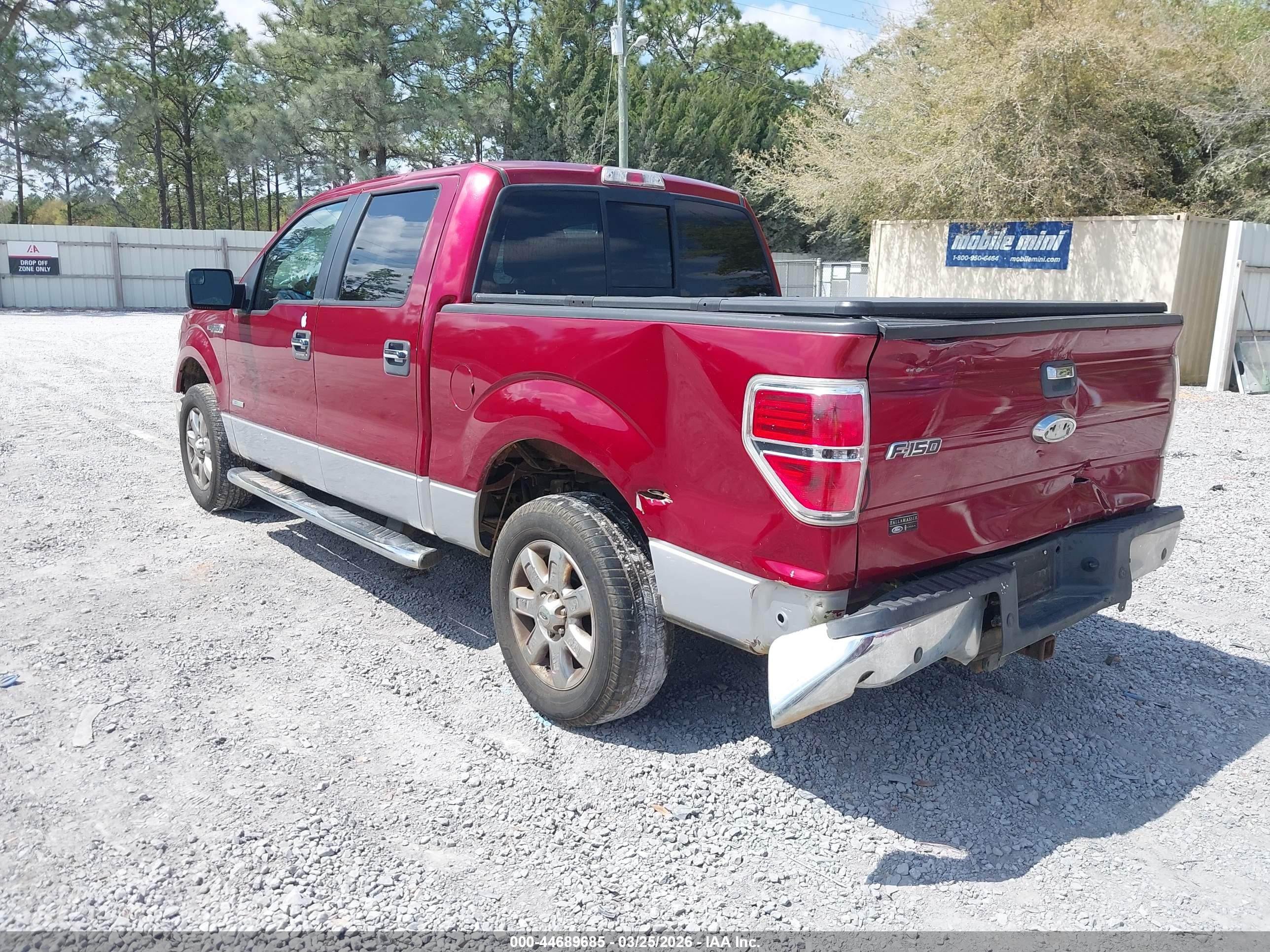 FORD F-150 image 3