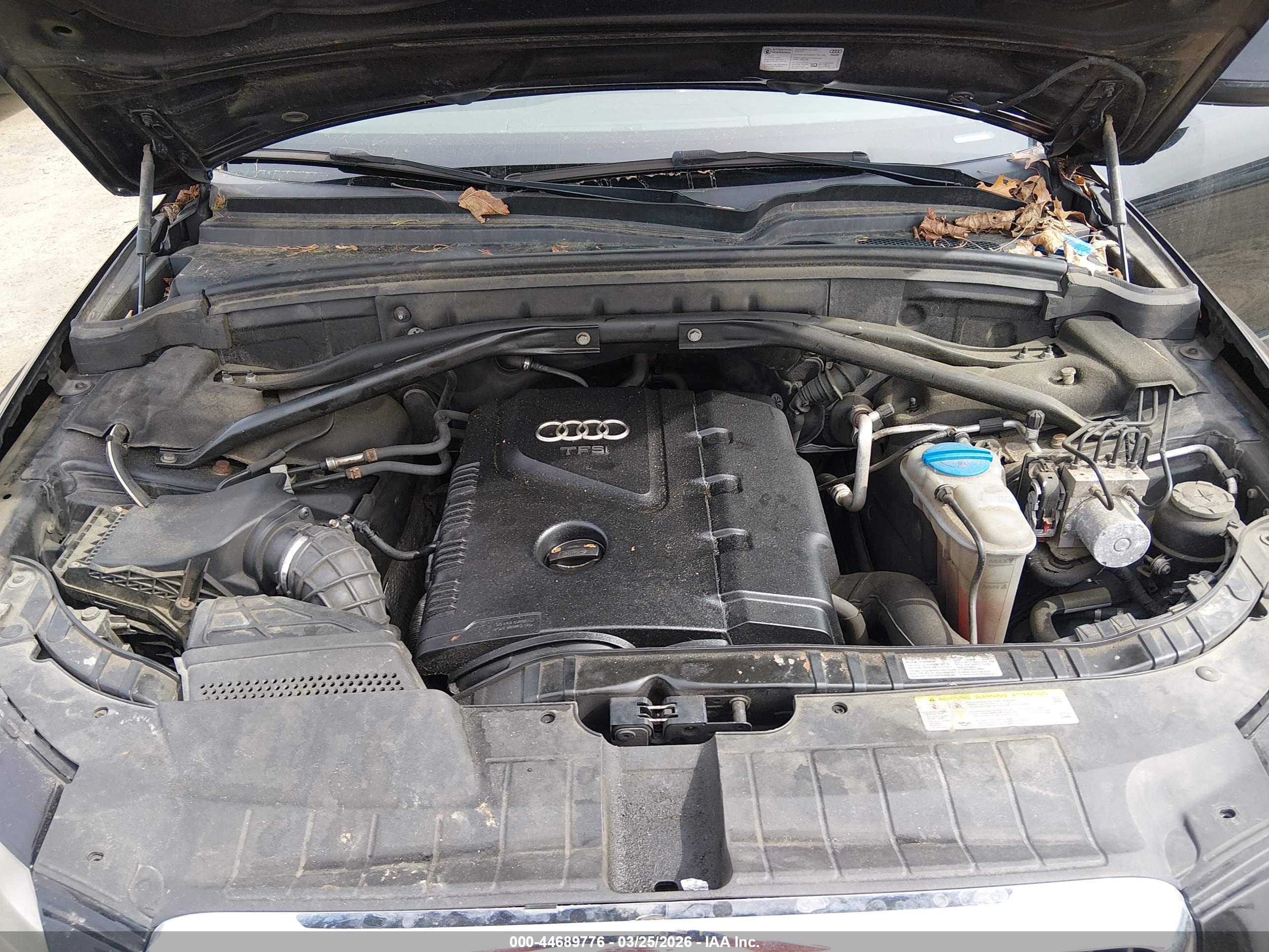 AUDI Q5 image 10