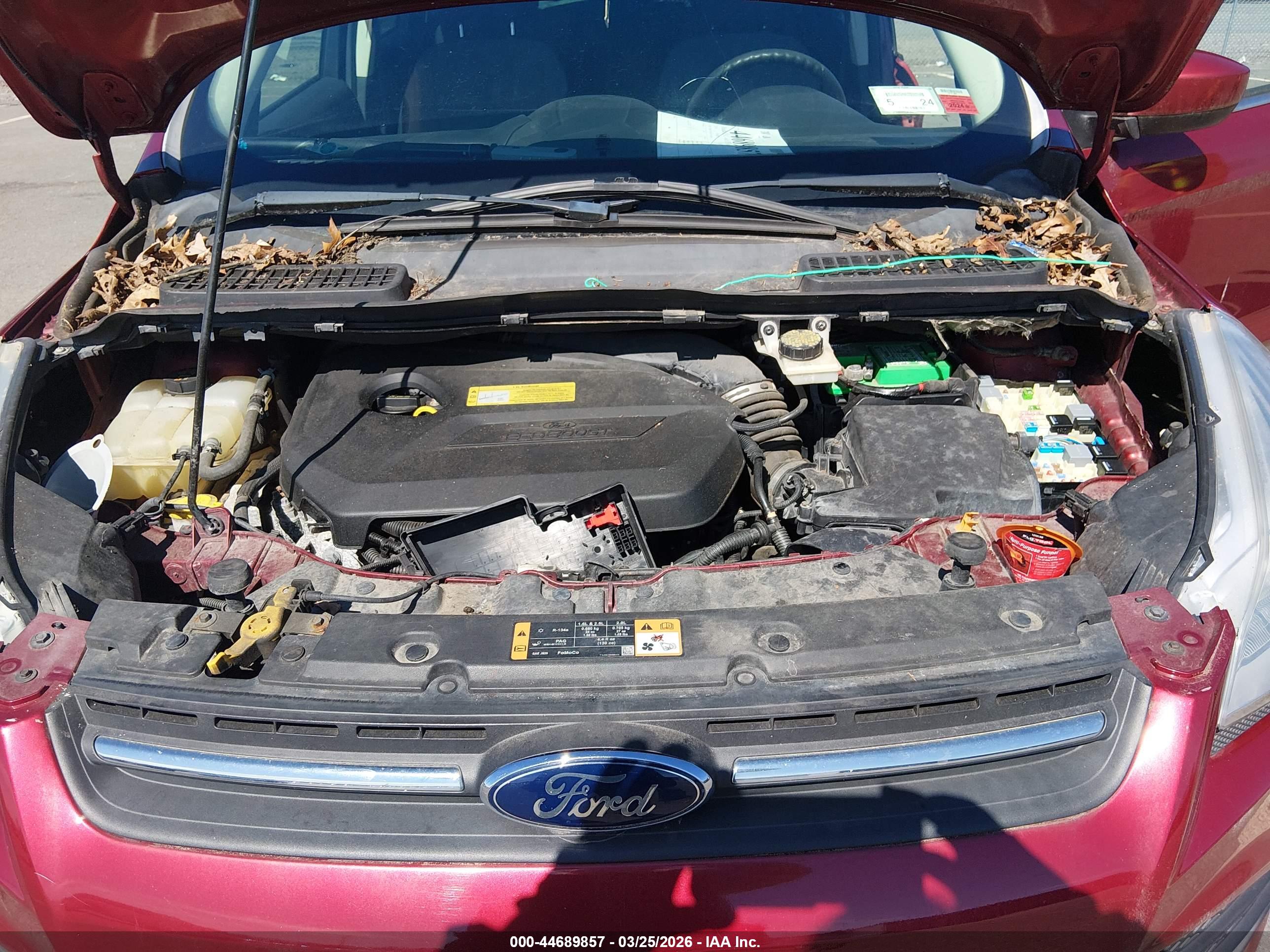 FORD ESCAPE image 10